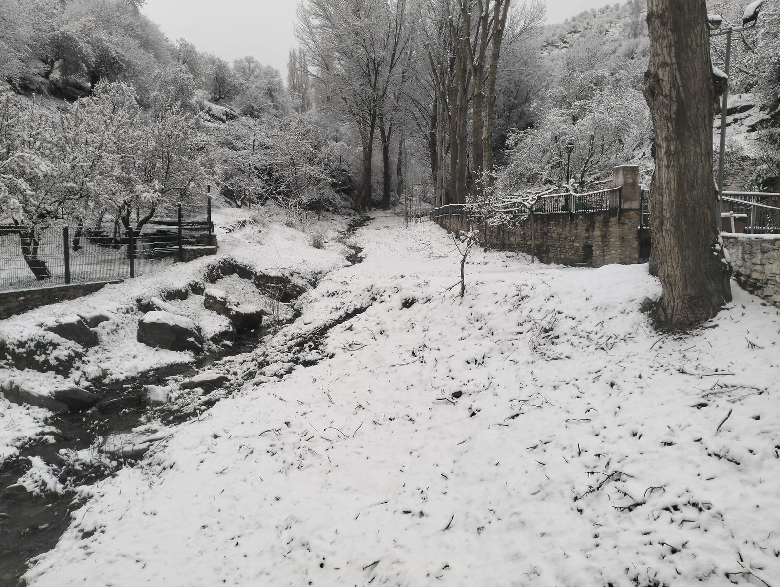 La nieve ha cubierto Bacares este 10 de marzo