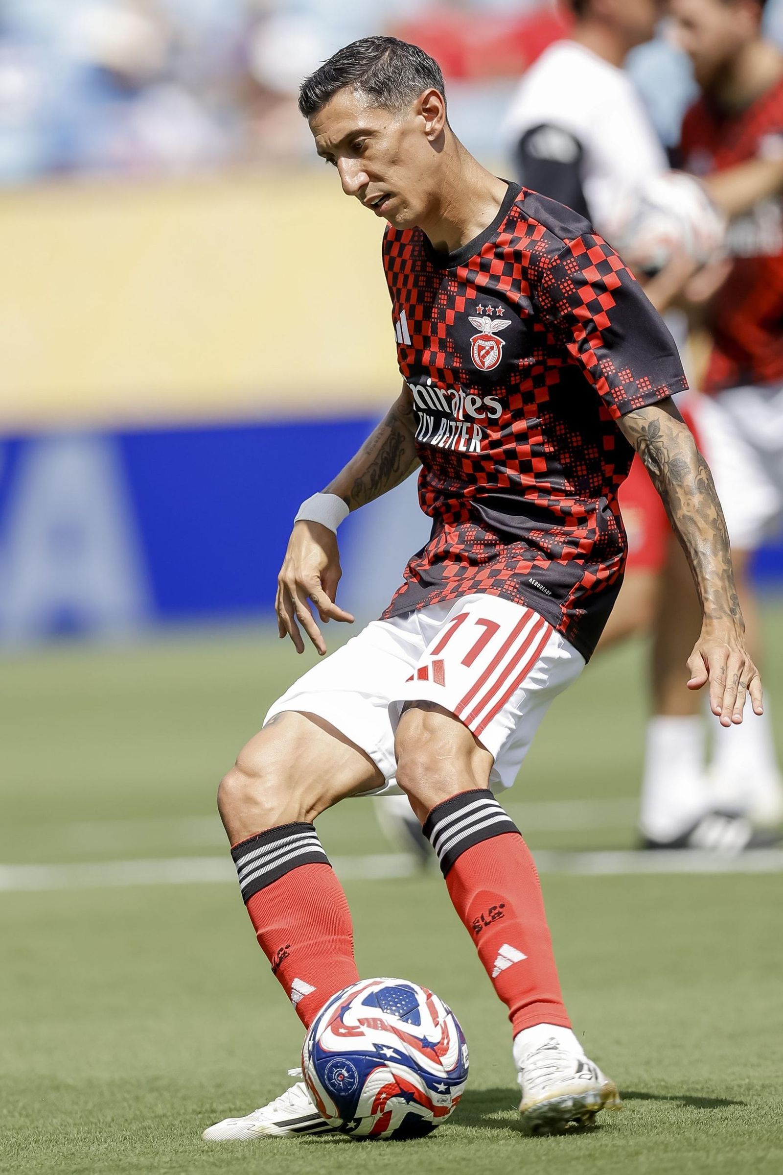 Benfica-Chelsea (41).jpg