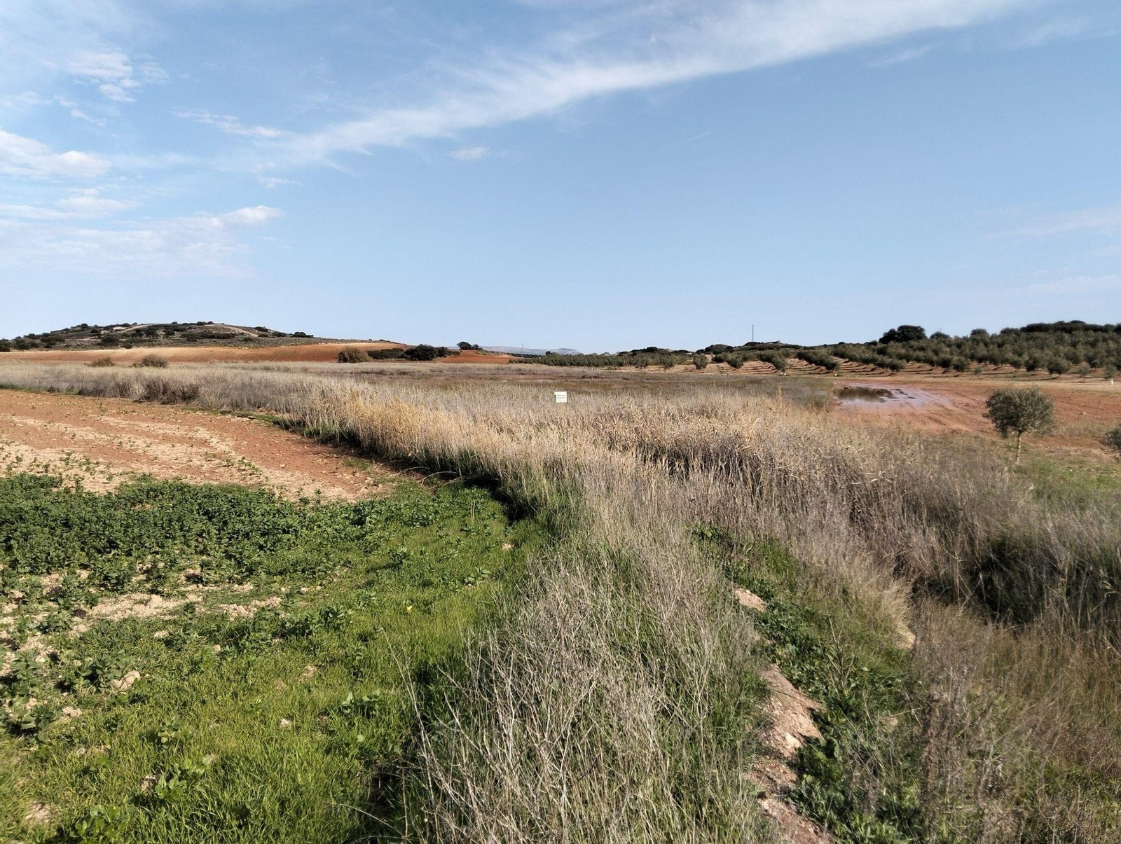 La Laguna de Camuñas en Campillos