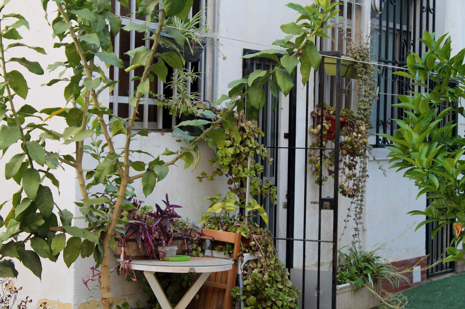 Barrio a Barrio: Huerto Paco, en imágenes