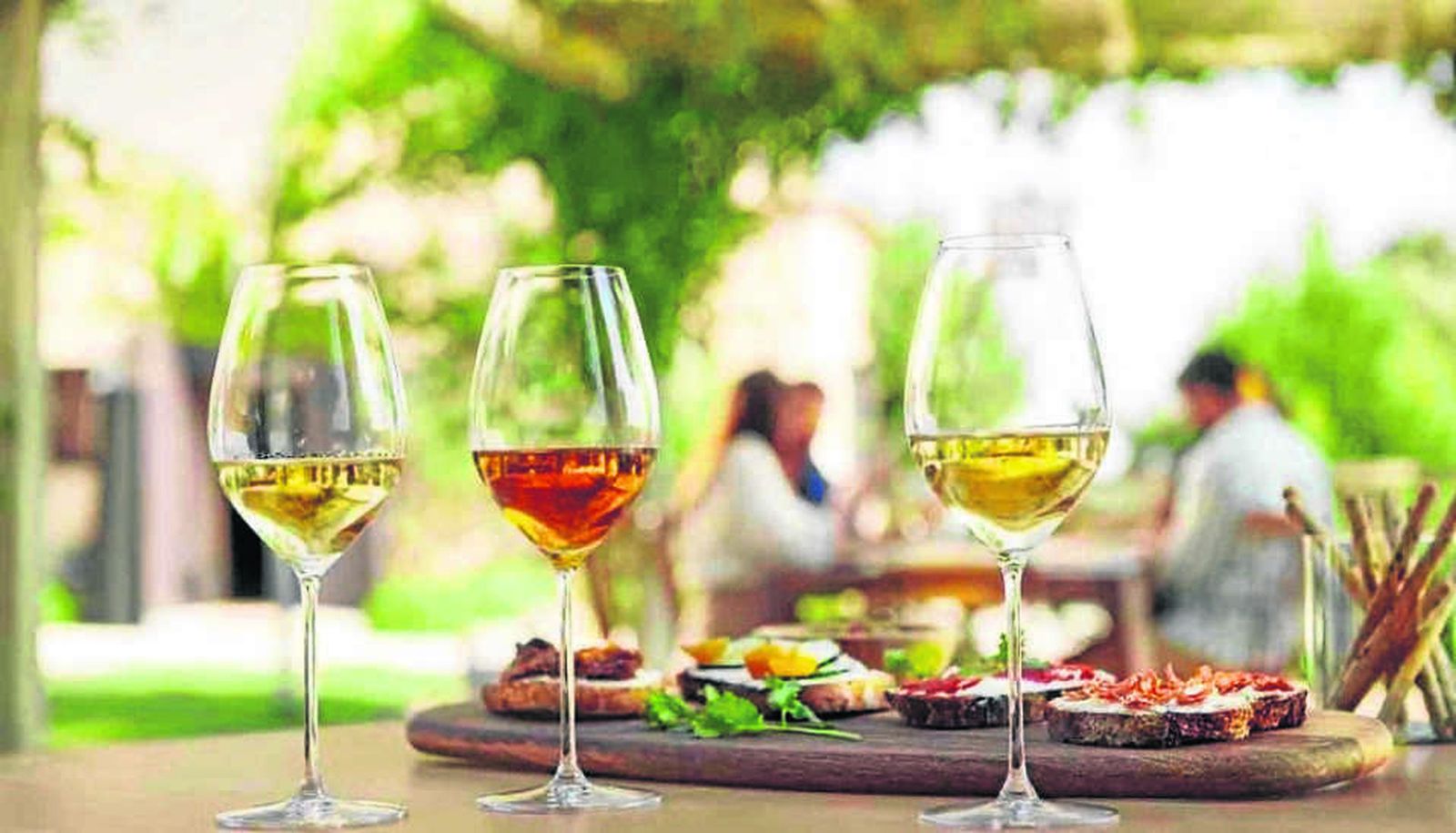 Los vinos de la Tierra de Cádiz son de excelente calidad.