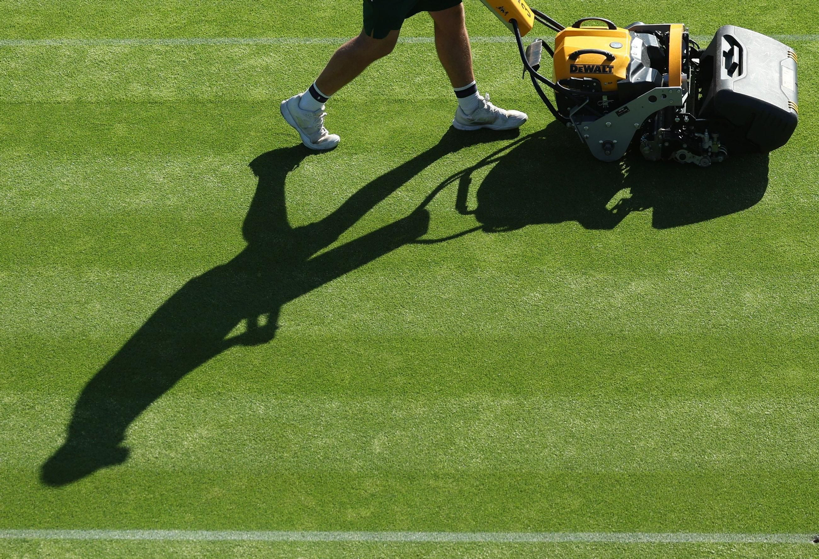 La primera jornada de Wimbledon (8).jpg