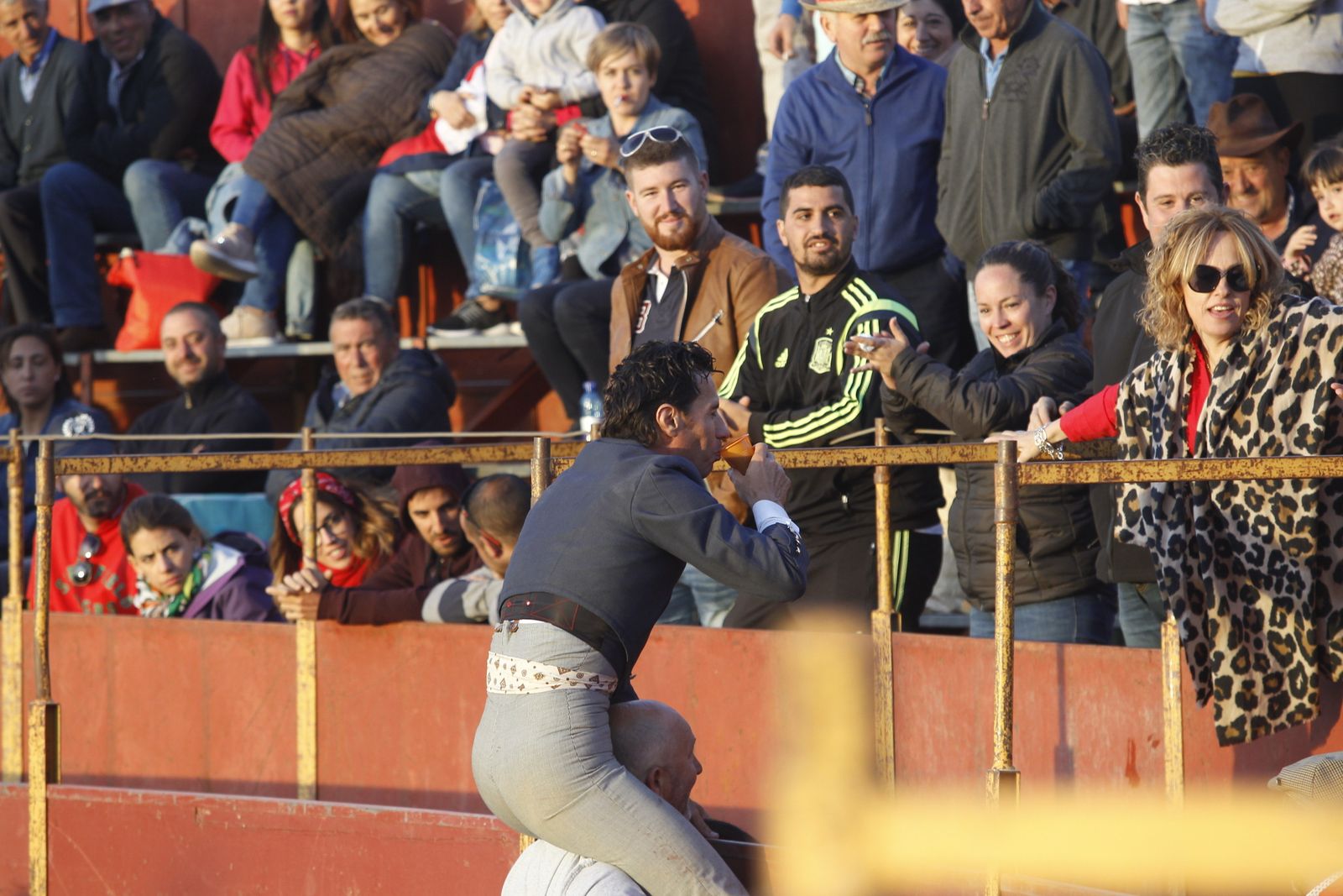Fotogalería Festival Taurino Mixto. Fiestas de Abrucena.