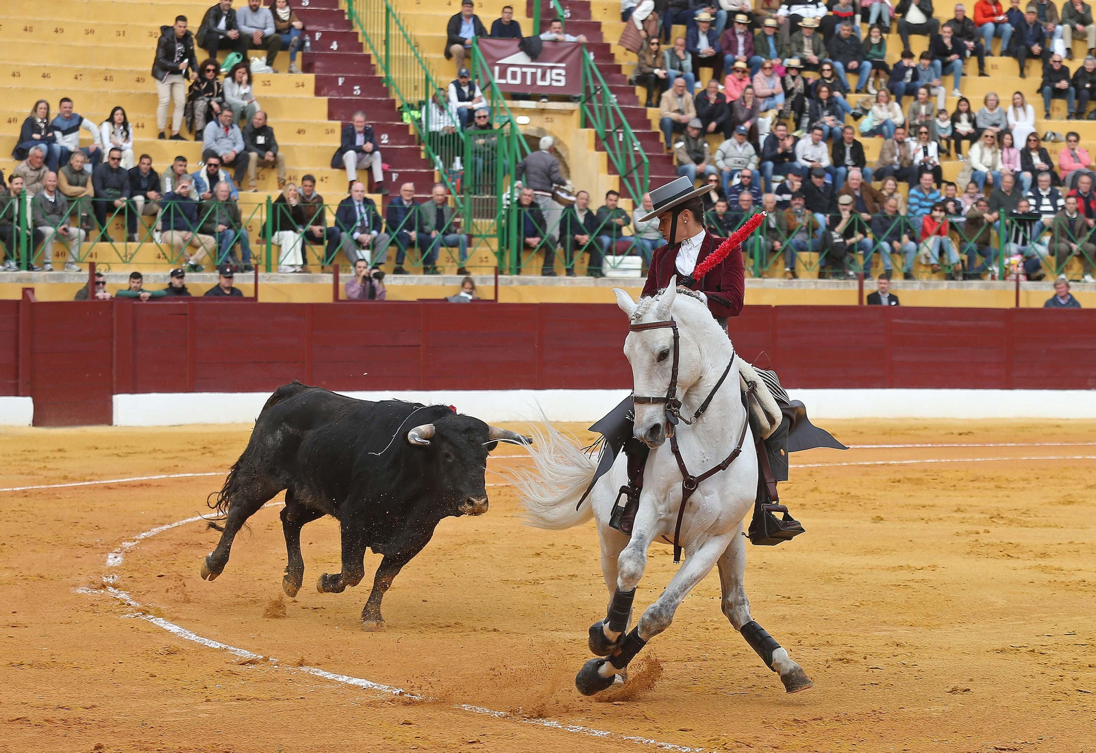 Fotos del festival taurino benéfico en La Línea