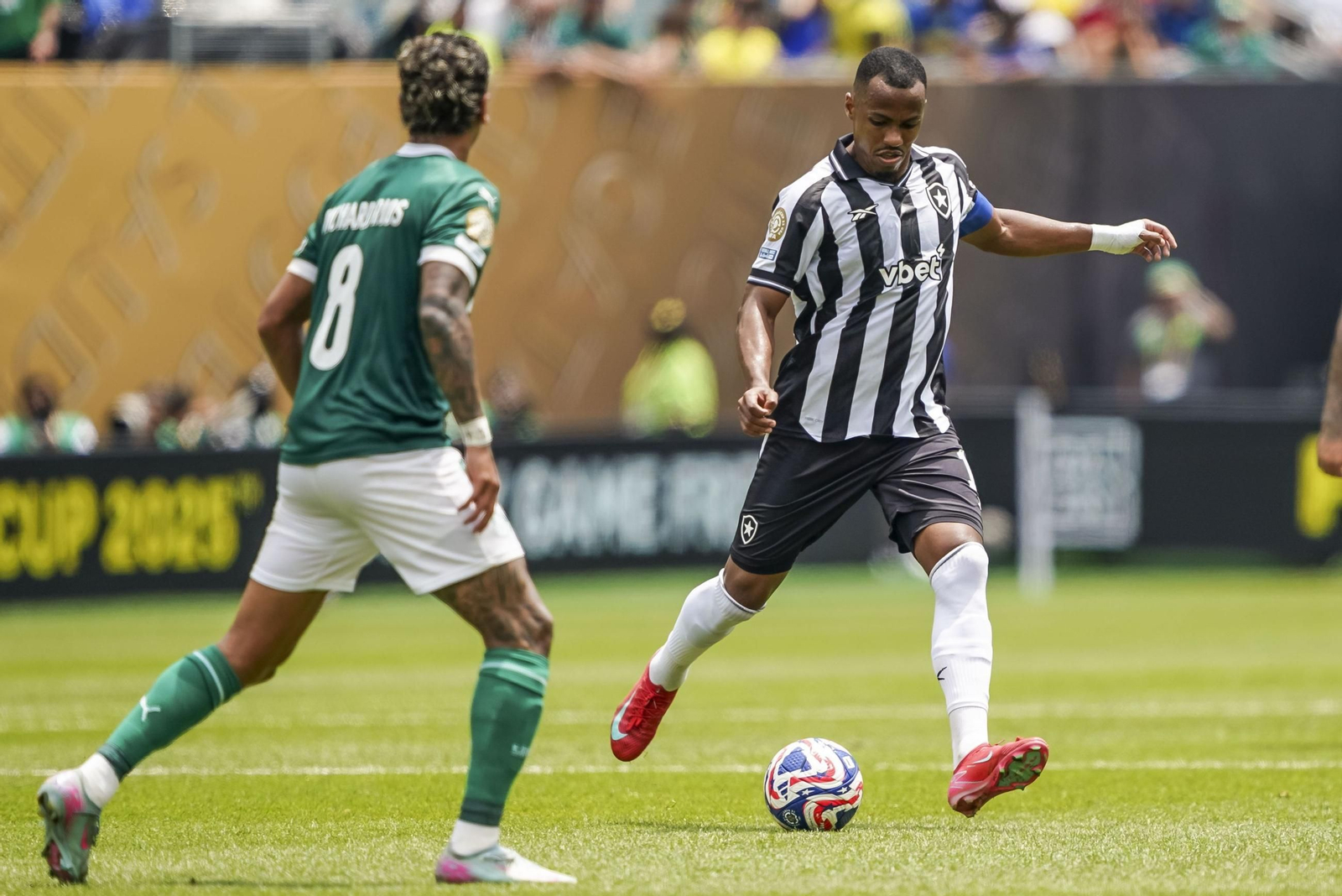 Palmeiras-Botafogo (17).jpg