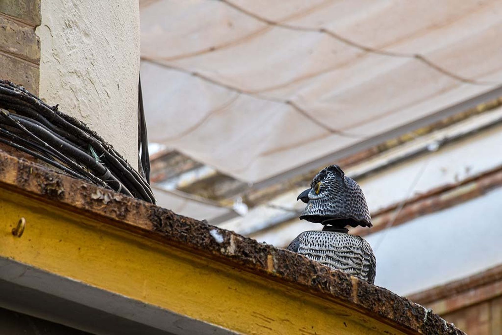 Las imágenes más destacadas del martes 30 de abril en Huelva