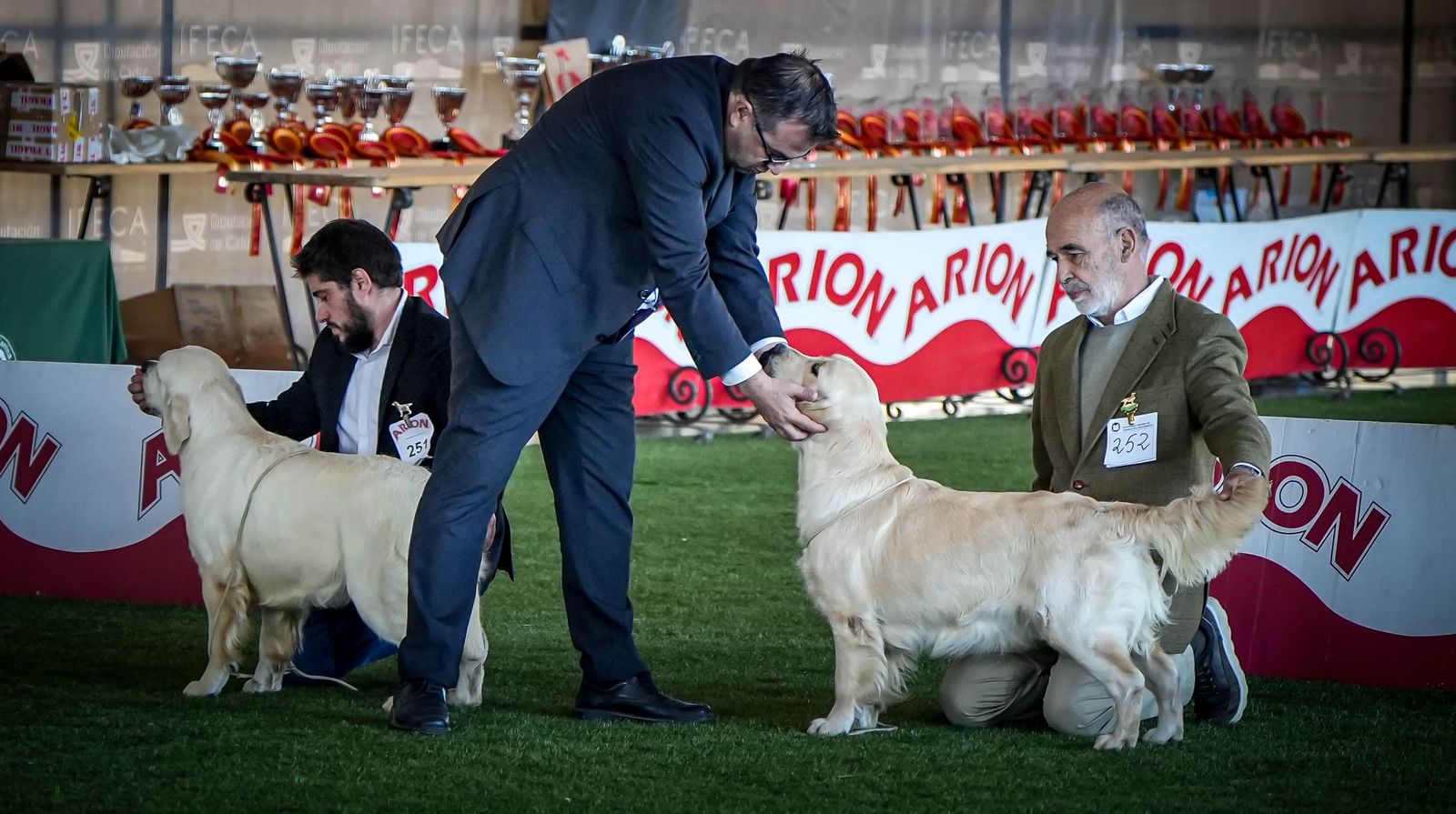 Espectacular exposición canina en Ifeca Jerez, en imágenes