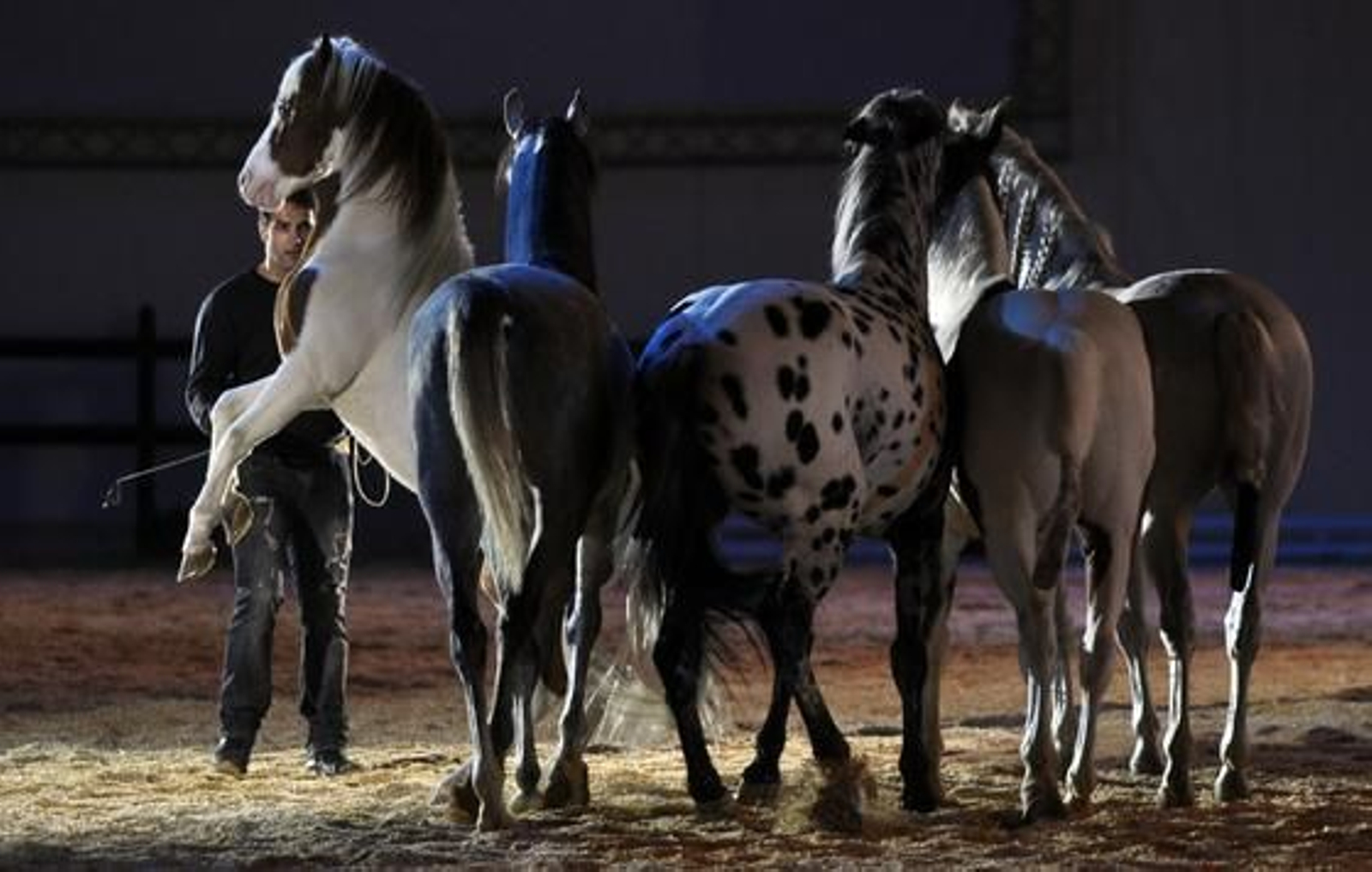 Preparativos y ensayo general del Sicab en Fibes. /Manuel Gómez