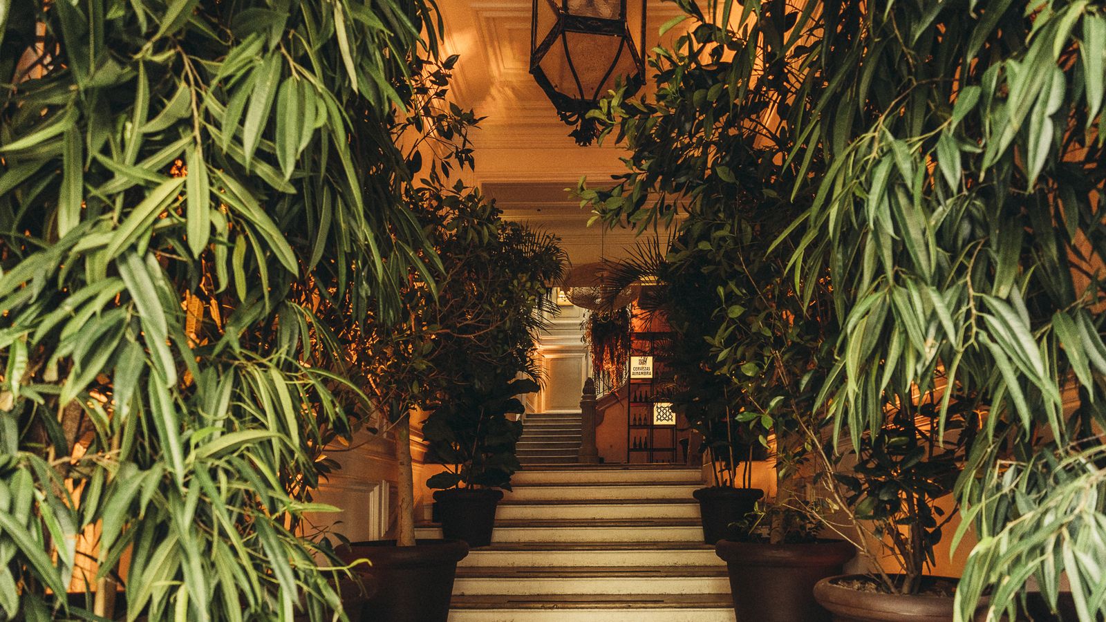 Entrada interior al Jardín Cervezas Alhambra.