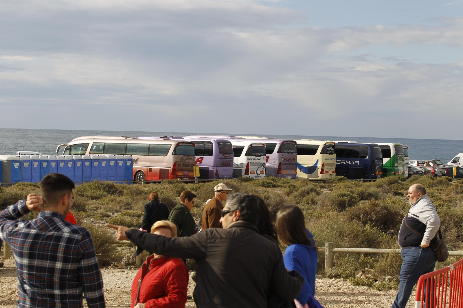 Las imágenes de la Romería de Torregarcía