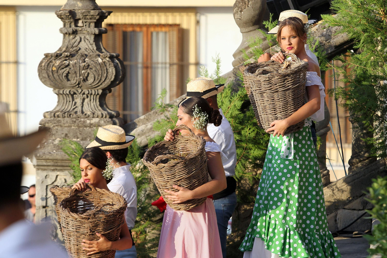 Imágenes de la pisa de la uva en la Catedral