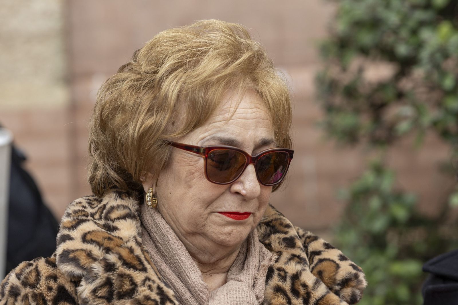 Las imágenes del acto de descubrimiento de la estrella dedicada a Julio Pardo en el Paseo de la Fama del Carnaval de Cádiz