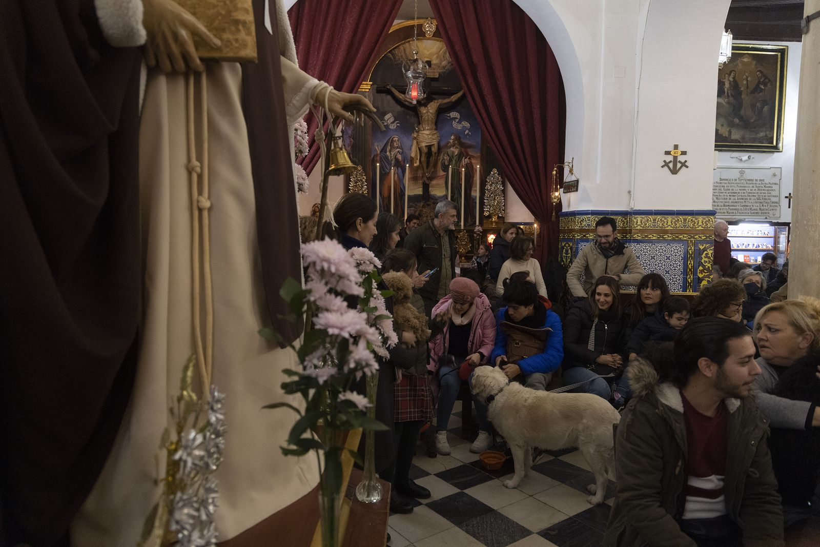Bendición de animales por San Antón en la Divina Pastora, todas las fotos