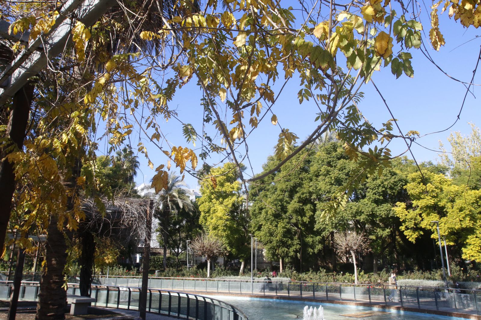 El otoño en Córdoba, en fotografías
