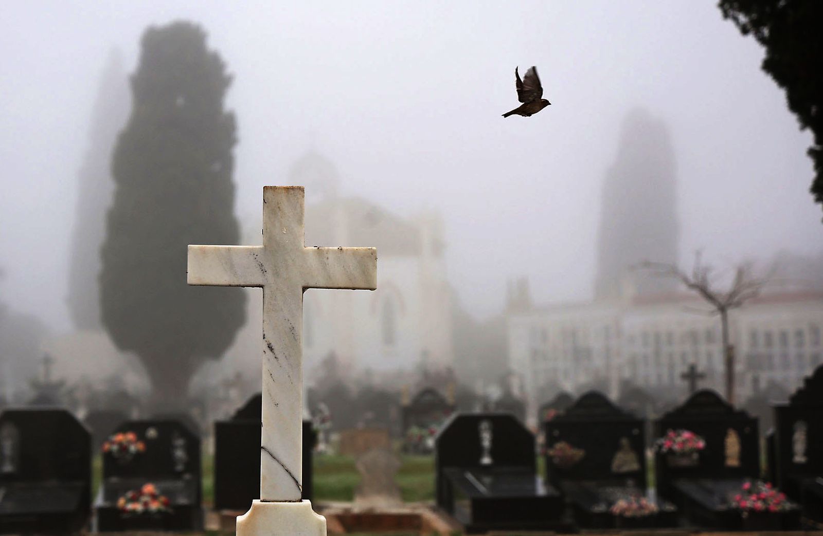 Imágenes de la espesa niebla durante la mañana en Huelva