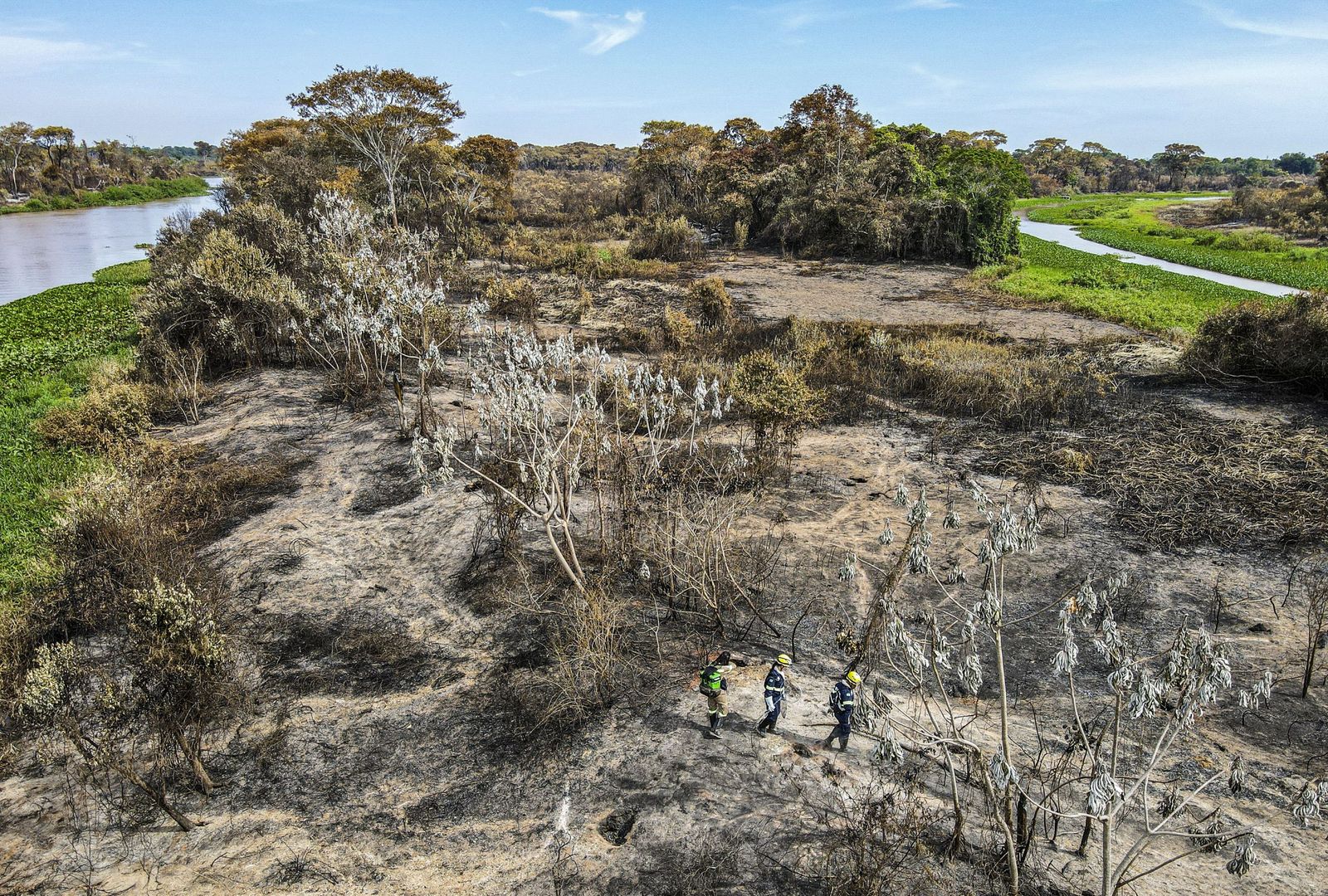 Las llamas convierten en una tumba al aire libre El Pantanal en Brasil