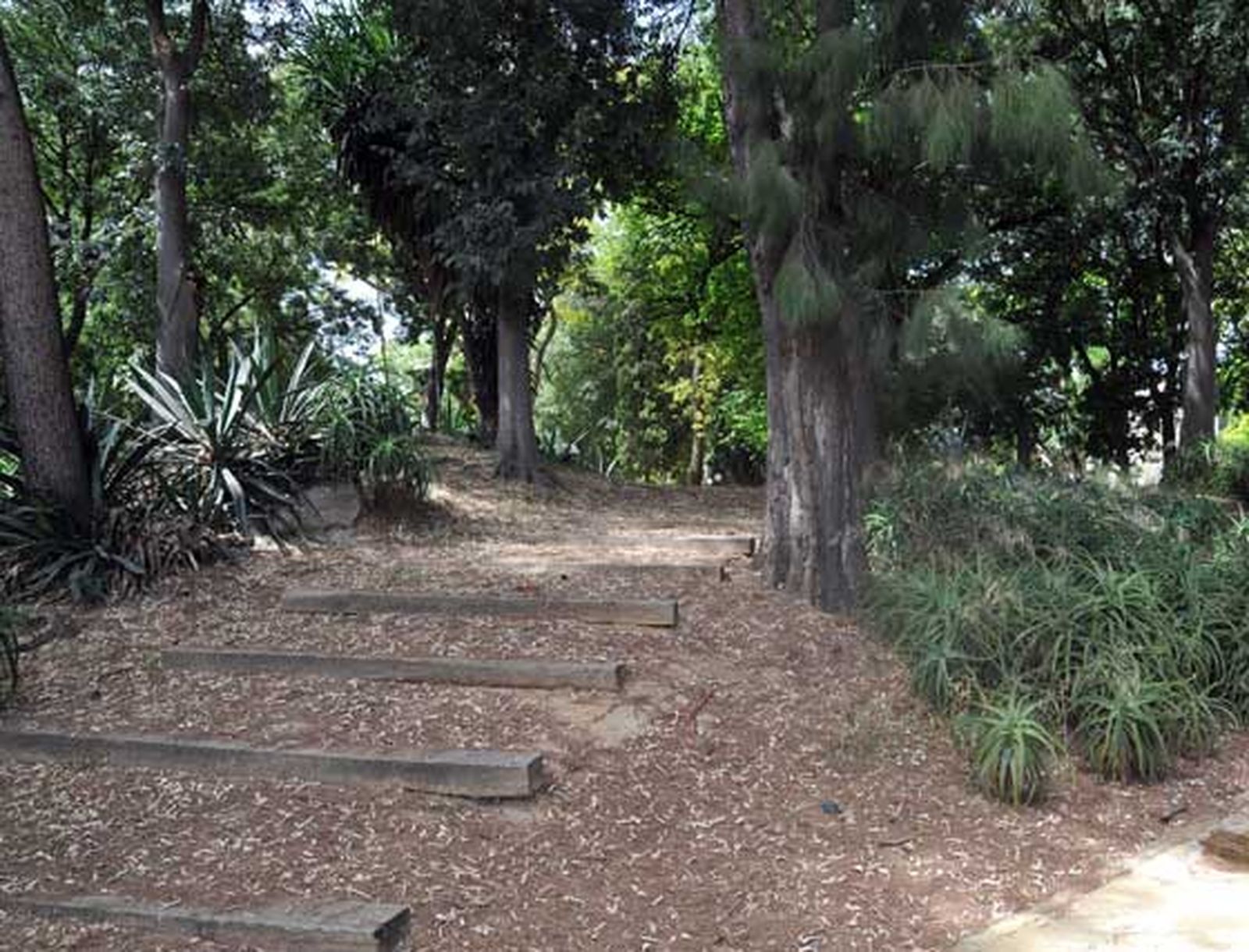 Un turista, al no ver vigilancia en la entrada, estacionó su vehículo dentro del complejo

Foto: Manuel Aranda