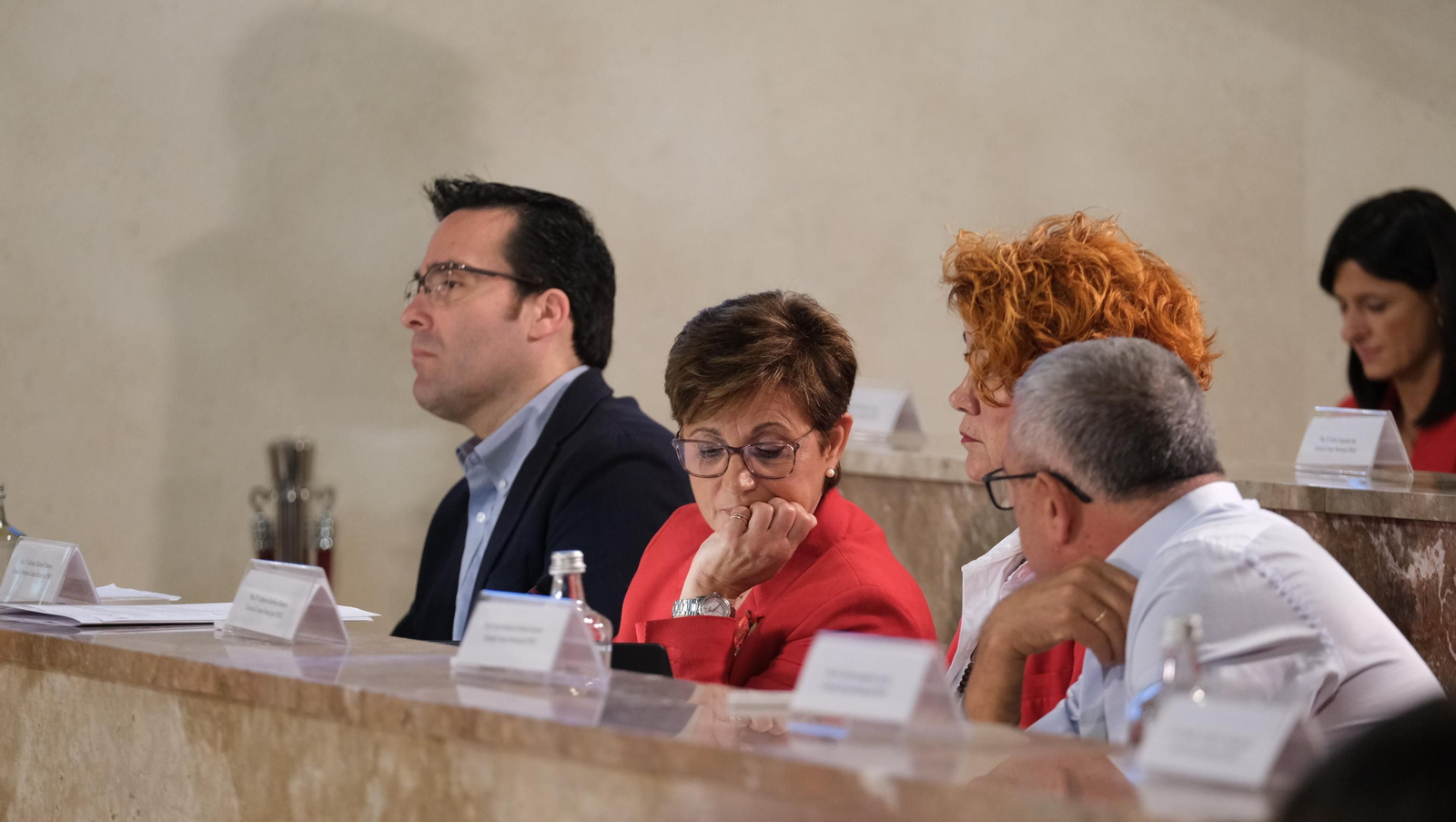 Imágenes del pleno del Ayuntamiento de Almería