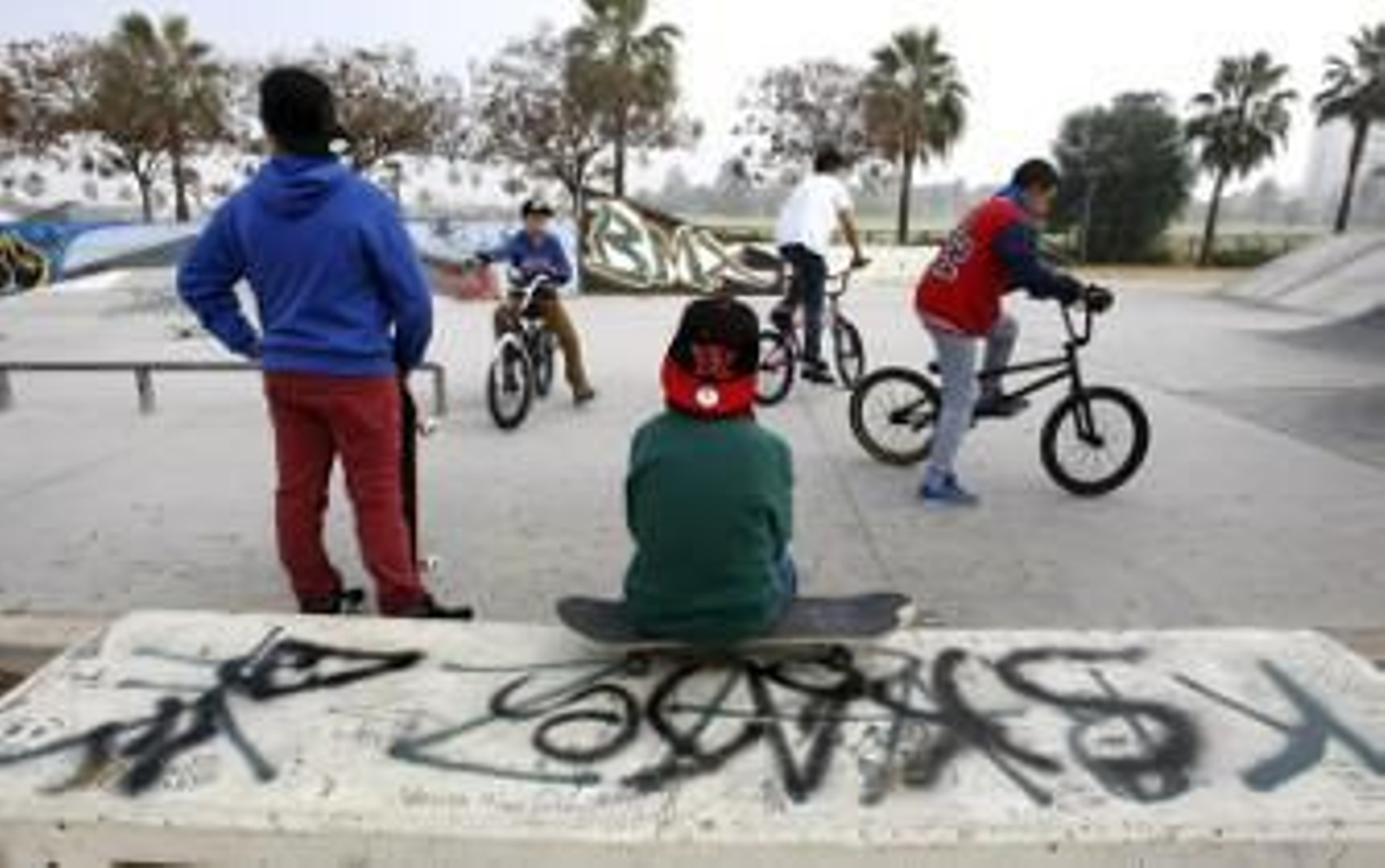 "Sólo queremos un 'skatepark' decente"