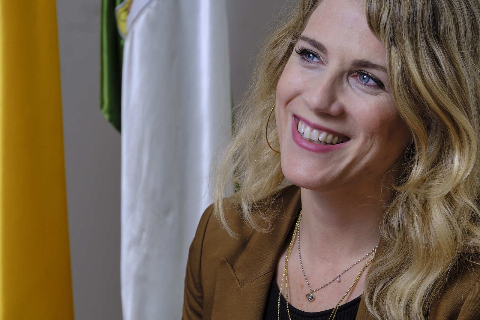 Ana Mestre, en su despacho de la Delegación del Gobierno andaluz en Cádiz