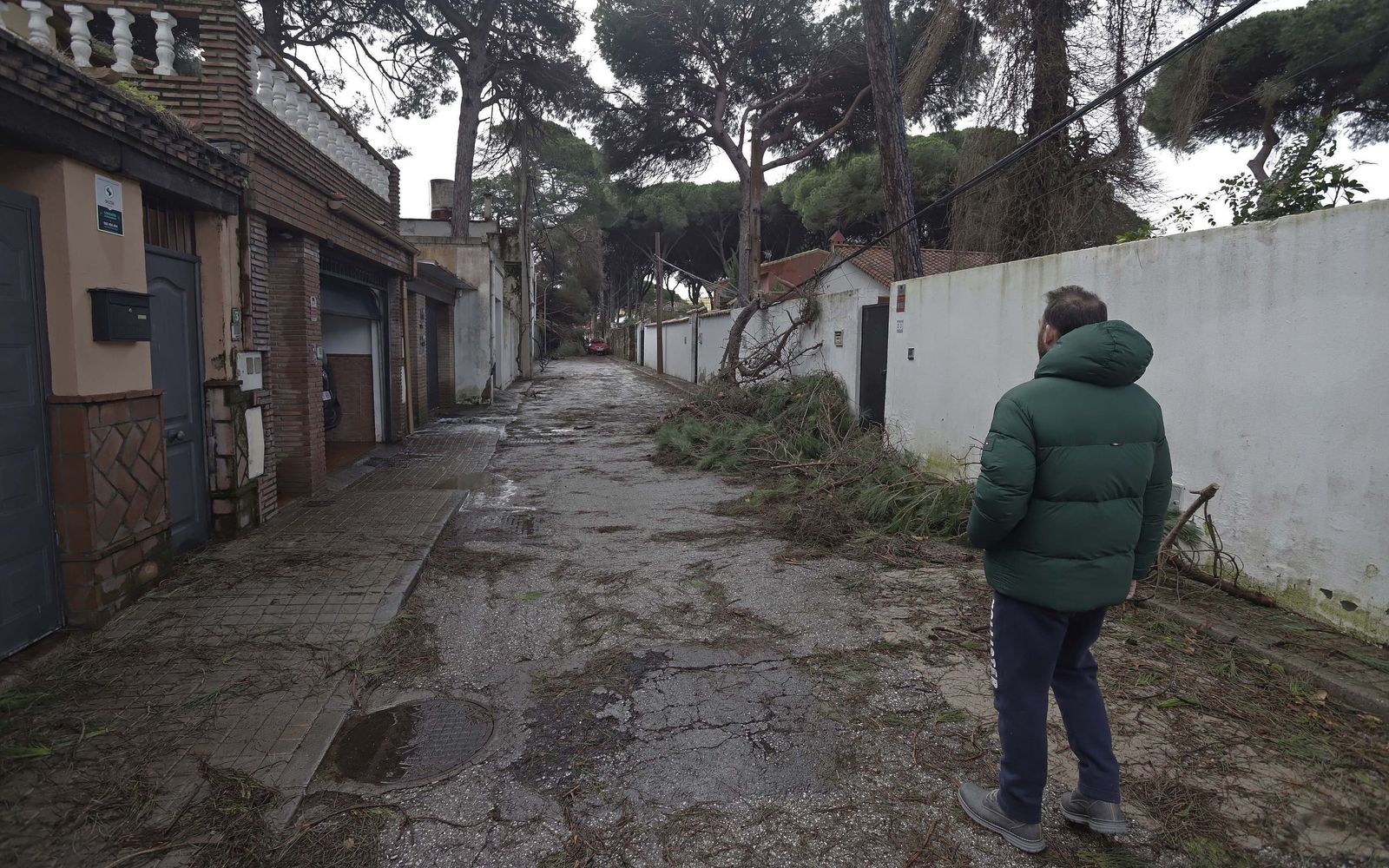 24 horas sin electricidad en la urbanización Los Pinos por árboles caídos tras la borrasca Kristin, en imágenes