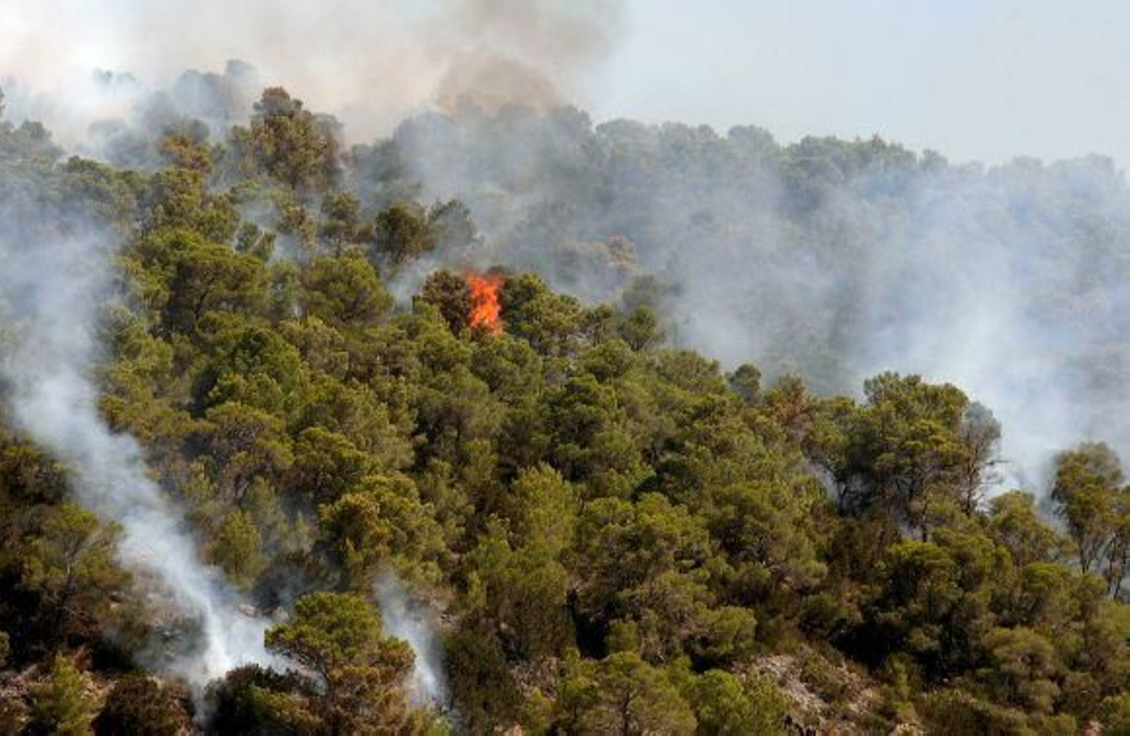 El incendio en Ibiza ha arrasado ya 400 hectáreas