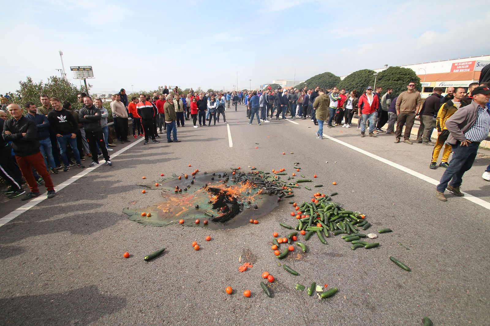 Las imágenes de la manifestación de agricultores
