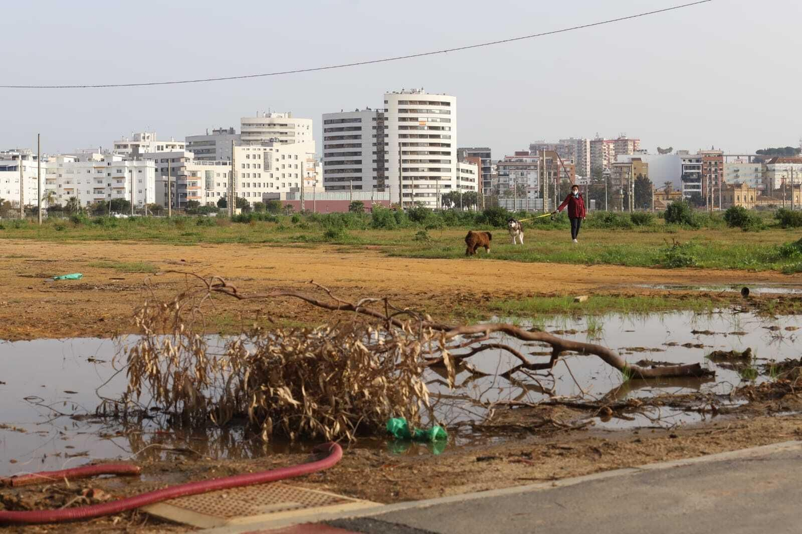 Terrenos del Ensanche Sur pendientes de urbanizar y construir.