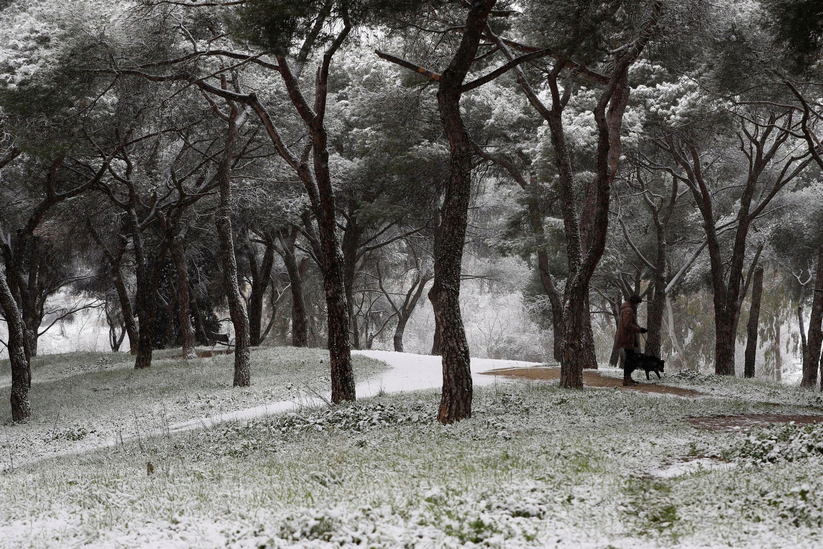 Las imágenes blancas que ha dejado la nieve en toda España
