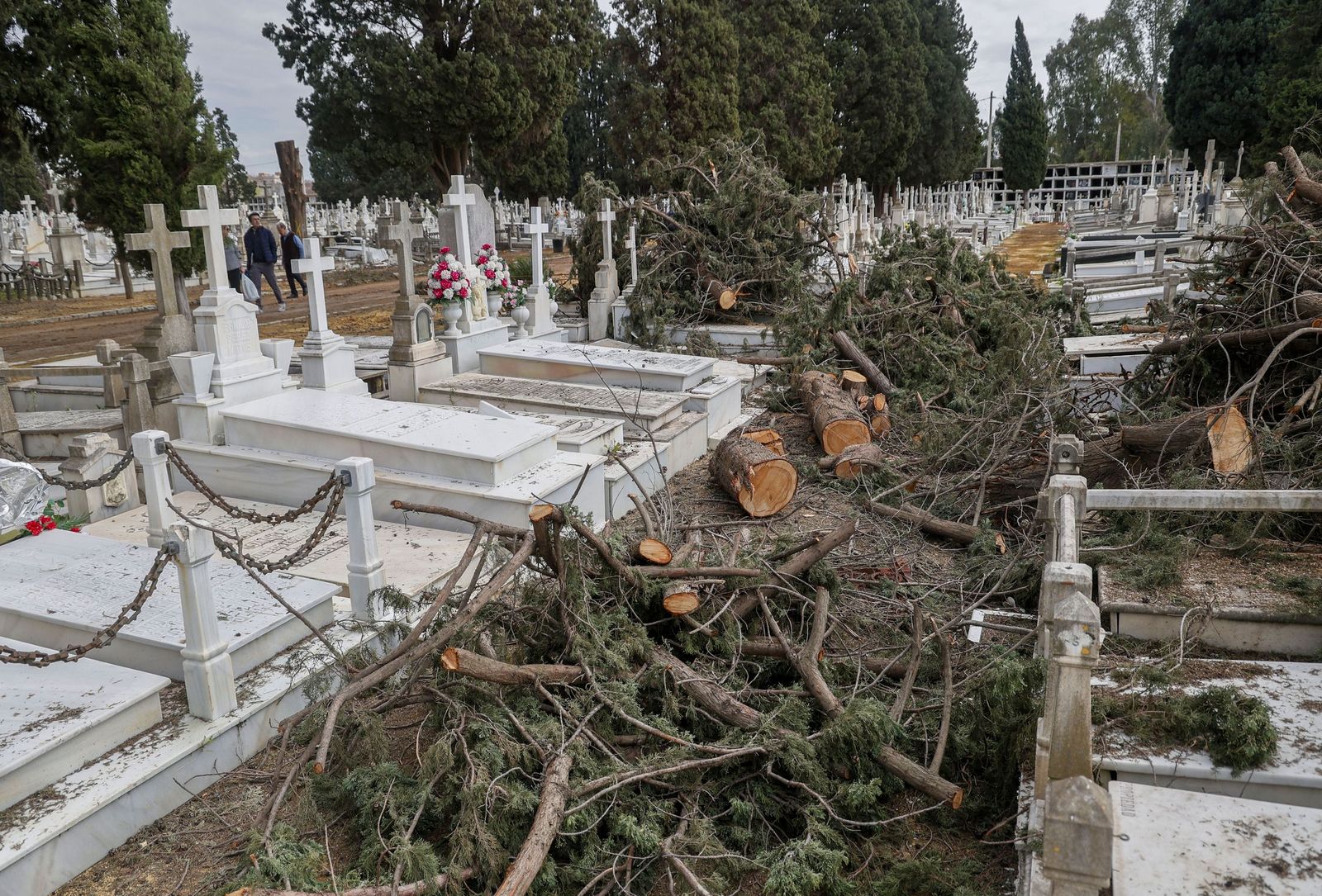 Destrozos provocados en las lápidas del cementerio por la caída de árboles