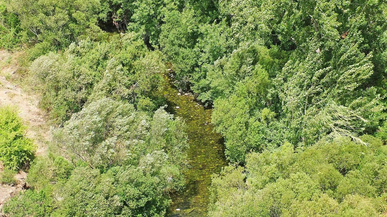 Así luce el río Verde desde arriba, haciendo honor a su nombre. Así luce el río Verde desde arriba, haciendo honor a su nombre.
