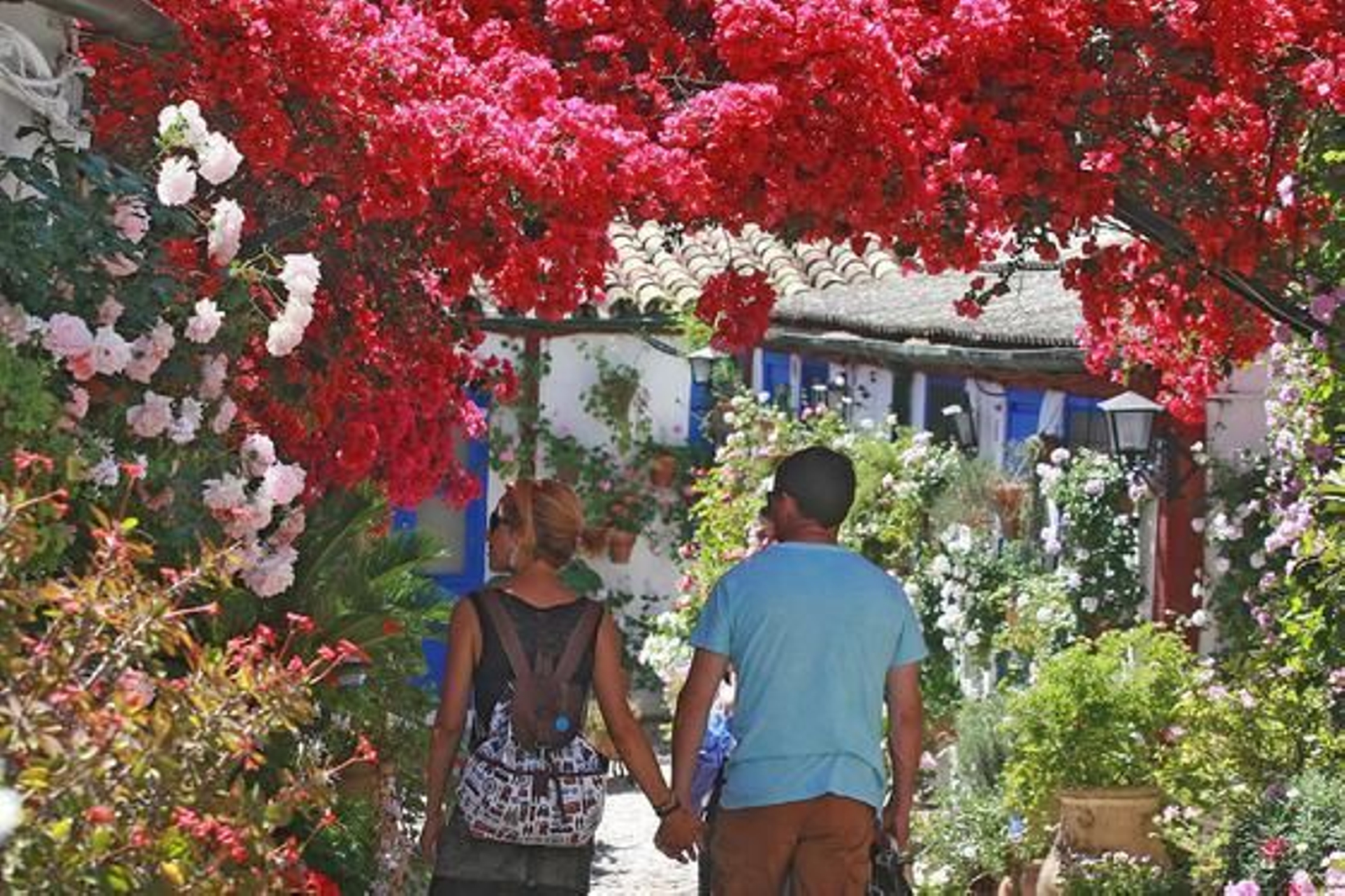 Foto: O. Barrionuevo