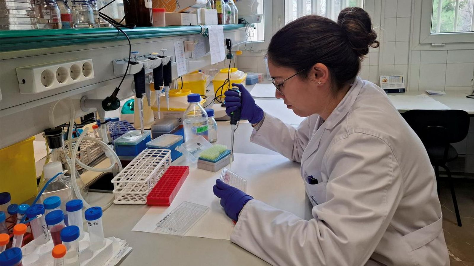 Trabajos en el laboratorio del grupo de Neurobiología celular de la Universidad de Granada