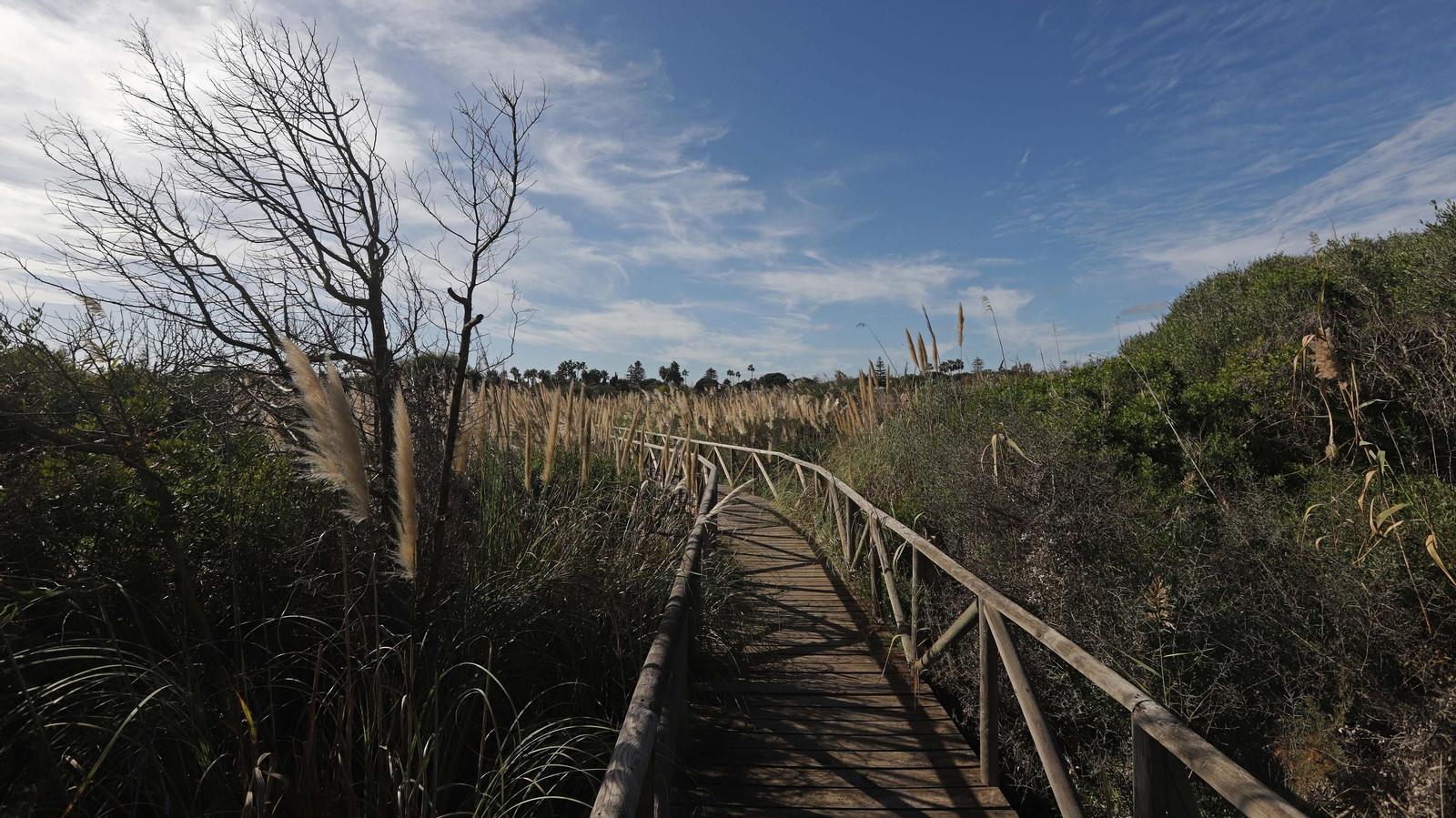 Fotos del estuario del río Guadiaro en San Roque