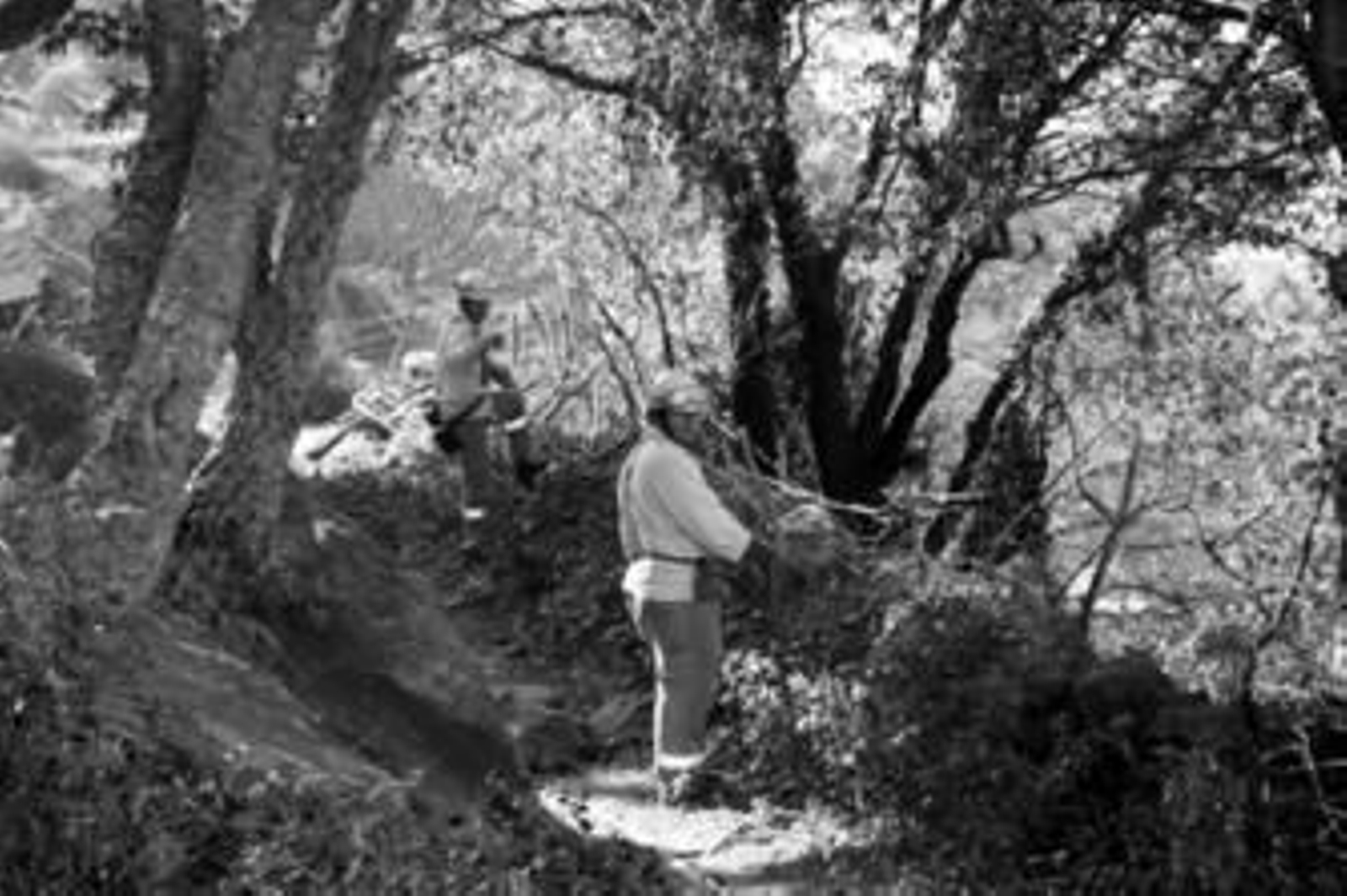 Dos efectivos del Infoca trabajan en Saladaviciosa para refrescar el monte, ayer, en Tarifa.