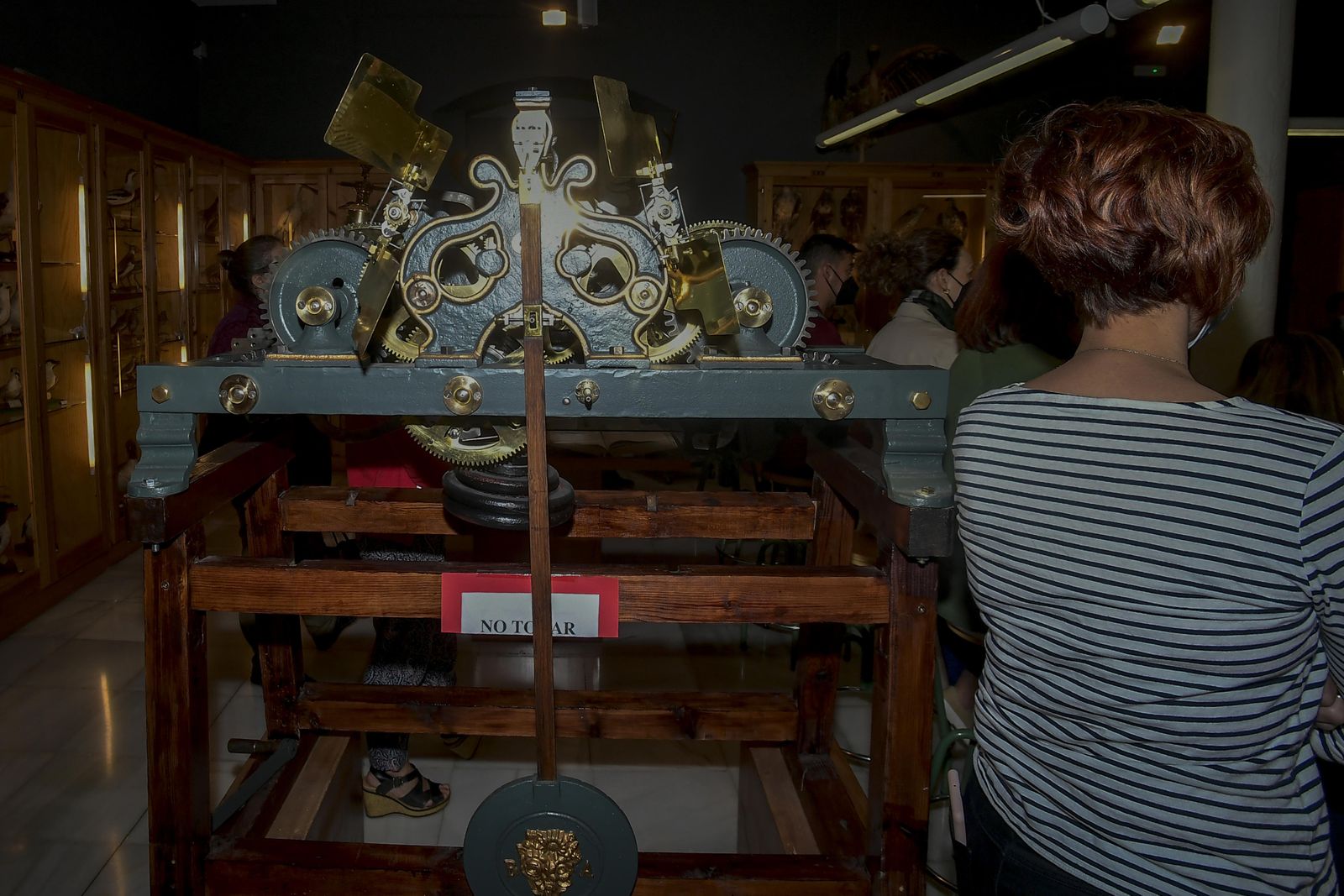 La inauguración del Museo de Ciencia del IES Padre Suárez de Granada, en imágenes