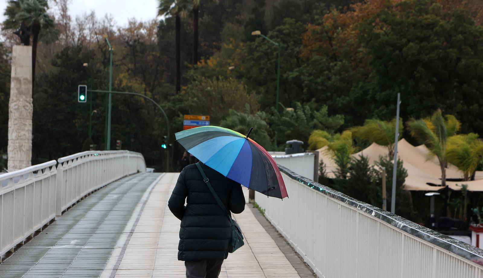 TEMPORAL. LLUVIA Y VIENTO