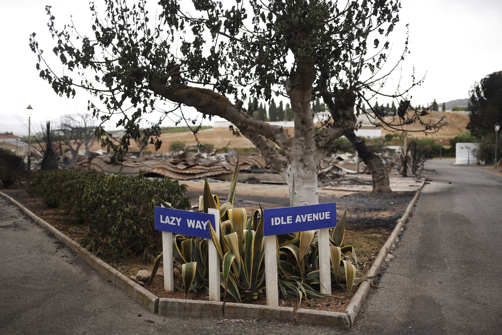 Las fotos del camping de Mollina, arrasado por el incendio