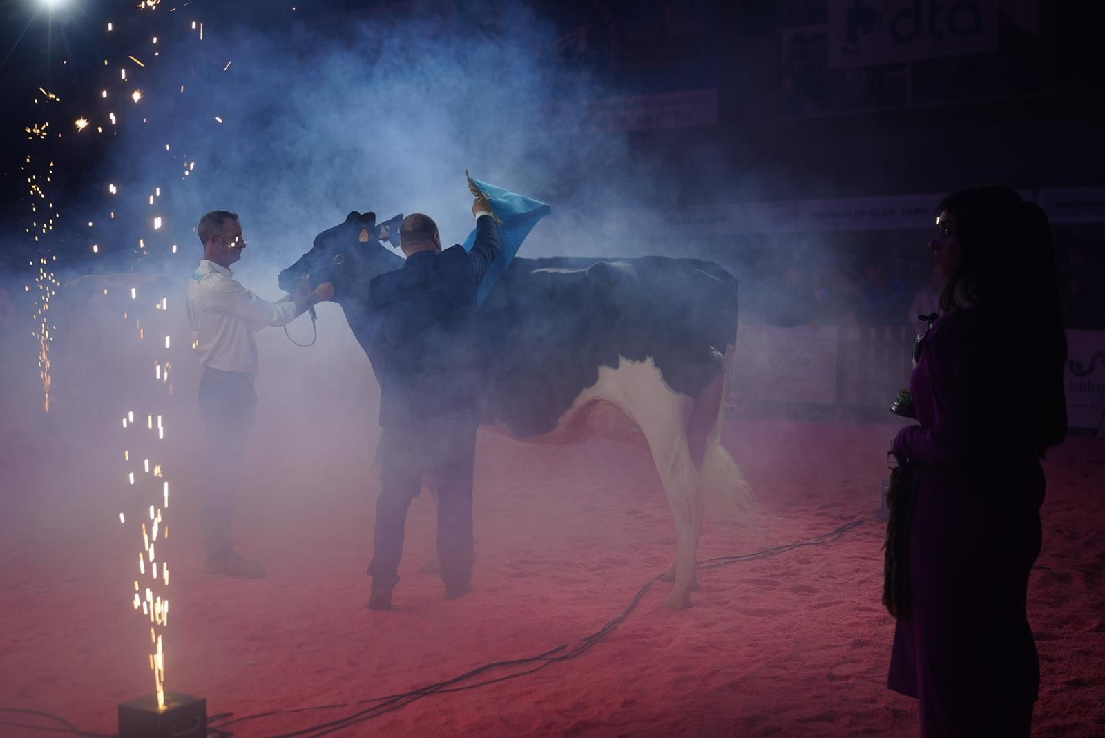 Las imágenes de la última jornada de la XVII Feria del Ganado Frisón de Dos Torres