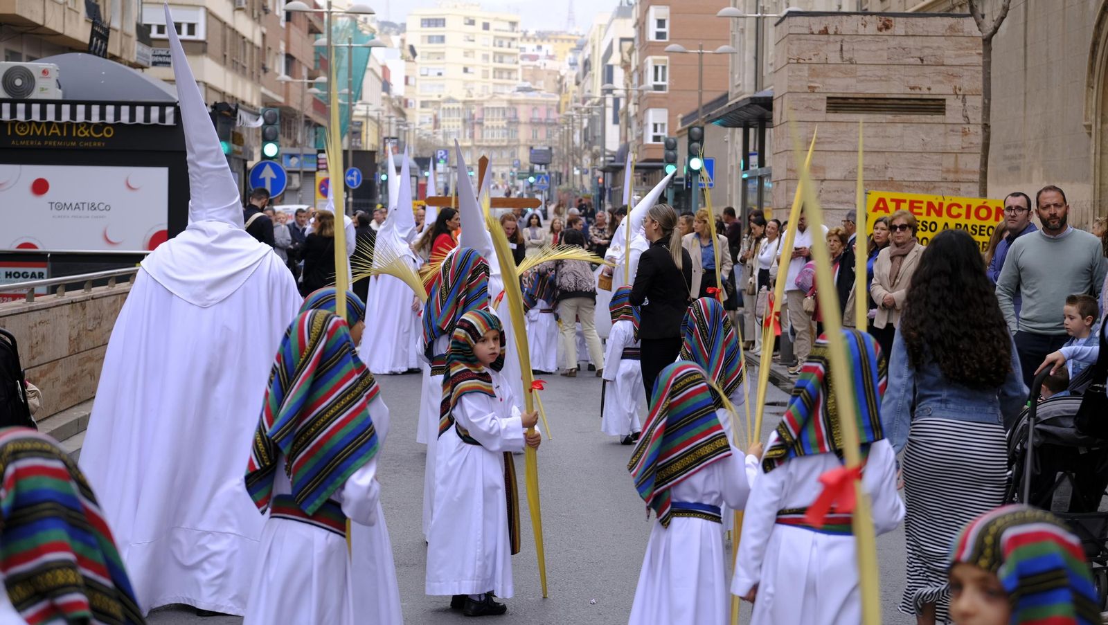 La Borriquita en la Semana Santa de Almería 2025, en imágenes