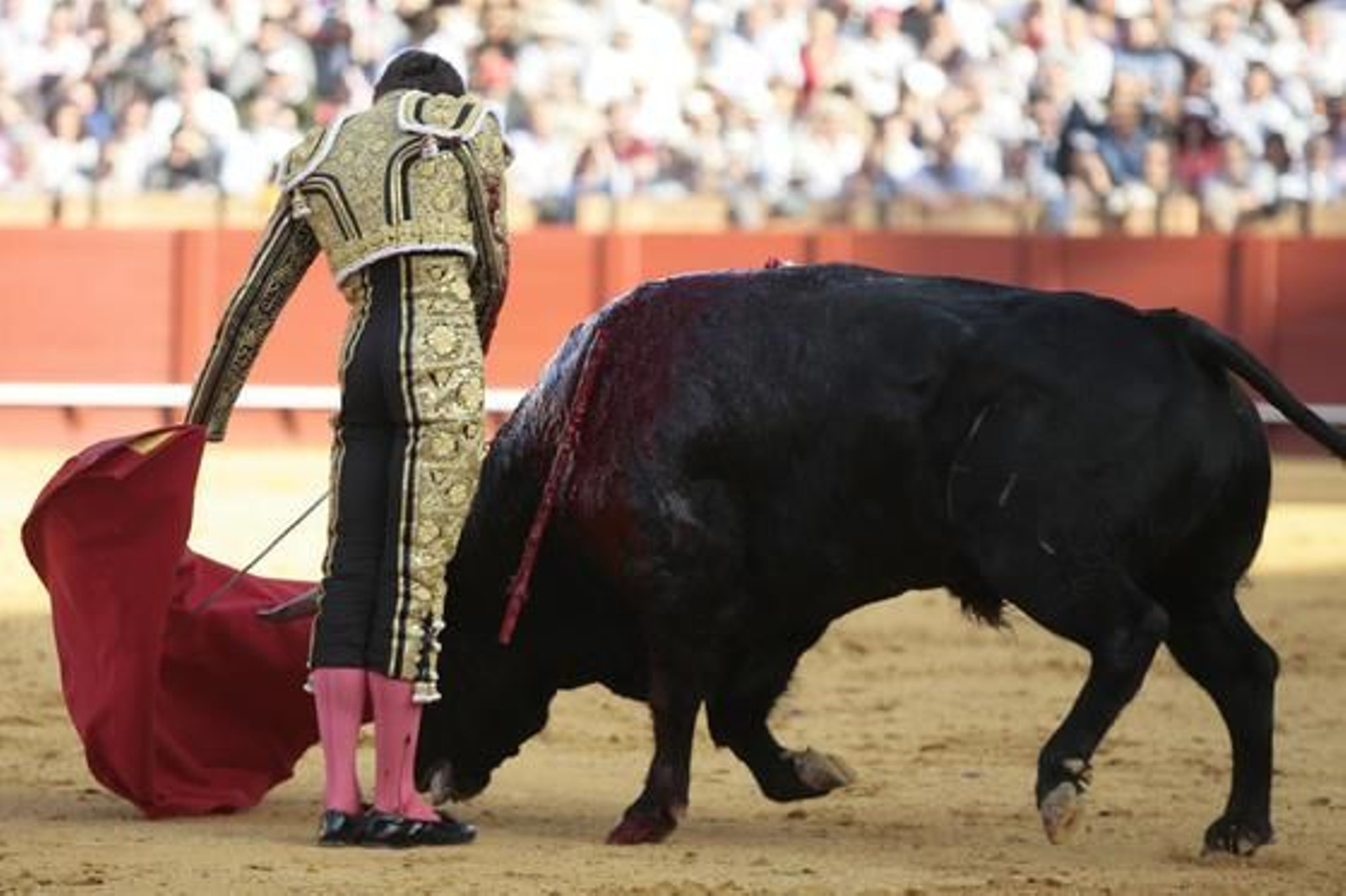 Castella./ Juan Carlos Muñoz