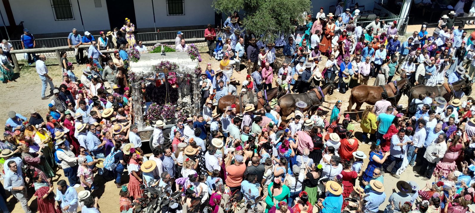 Imágenes de la llegada a la Aldea y presentación de la Hermandad del Rocío de Jerez