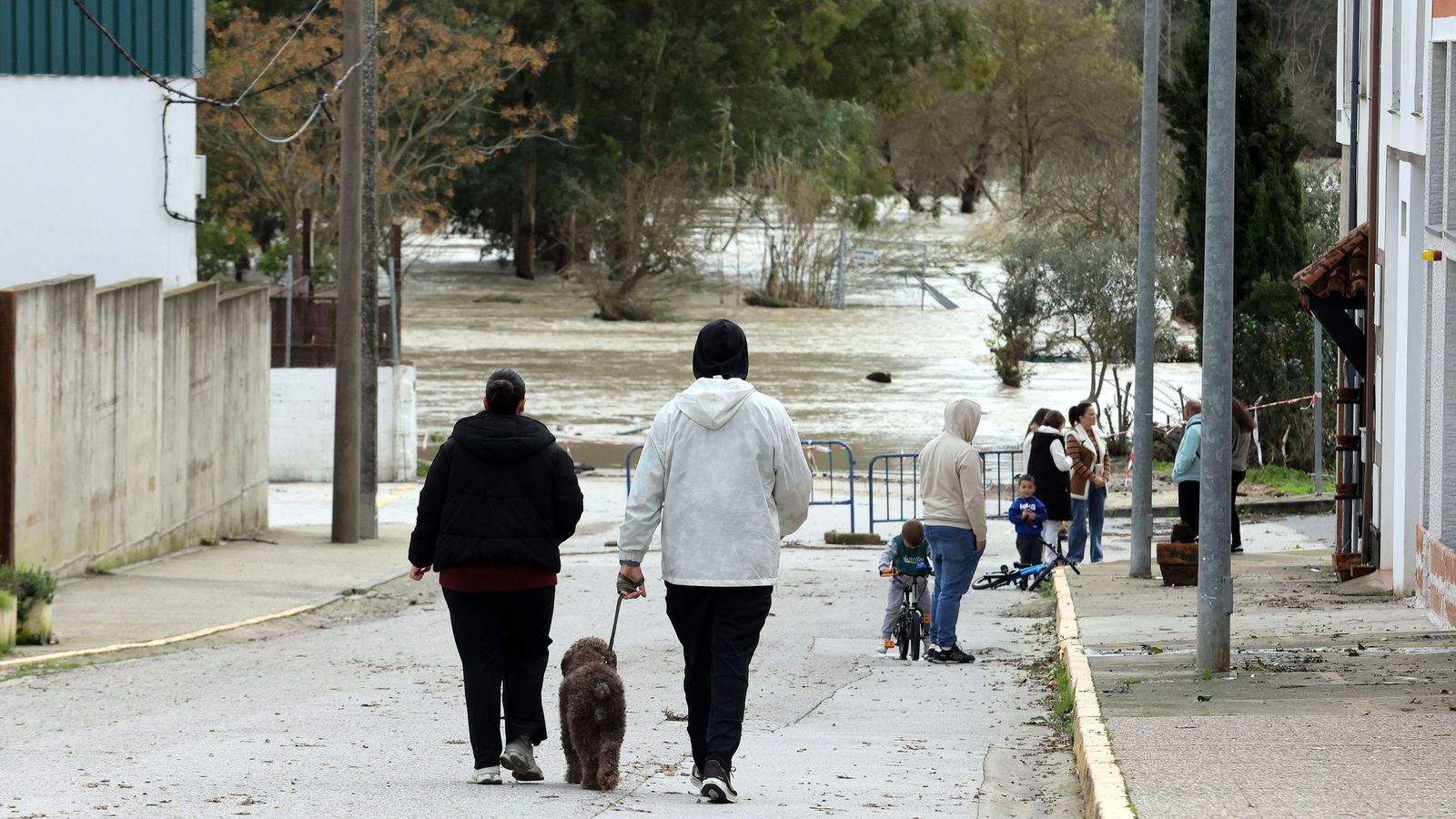 El Guadalete comienza a bajar su nivel poco a poco por la zona rural de Jerez