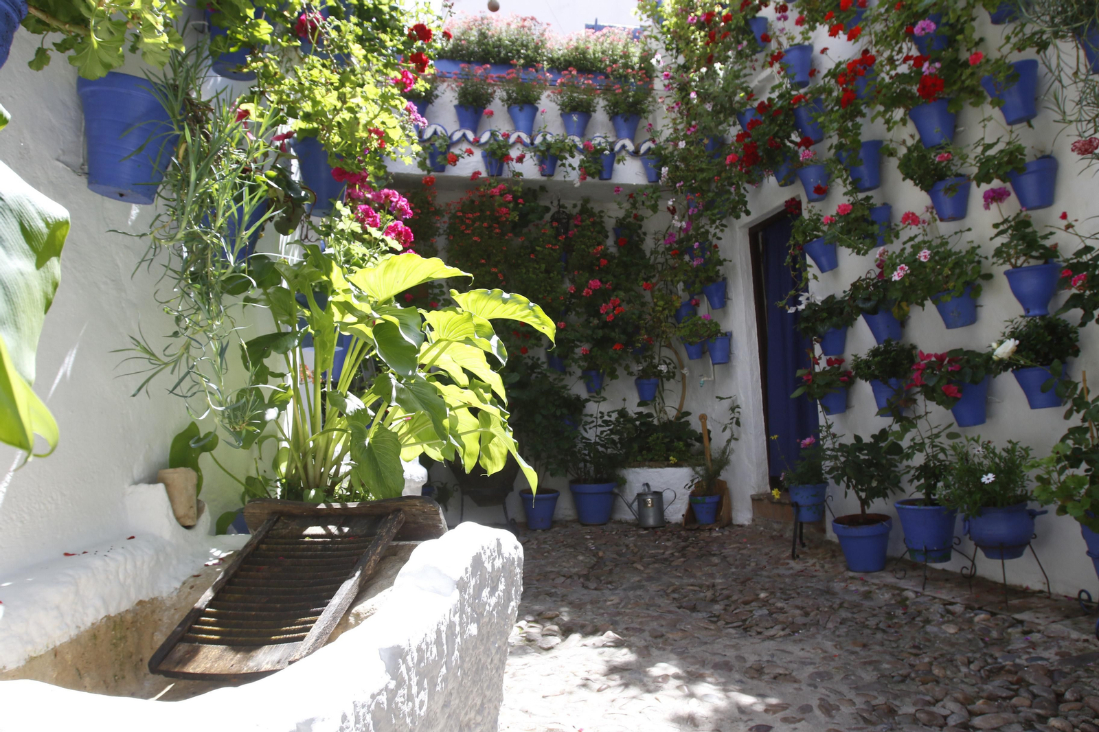 Las fotos de los Patios de Córdoba en tiempos de crisis: Postrera, 28