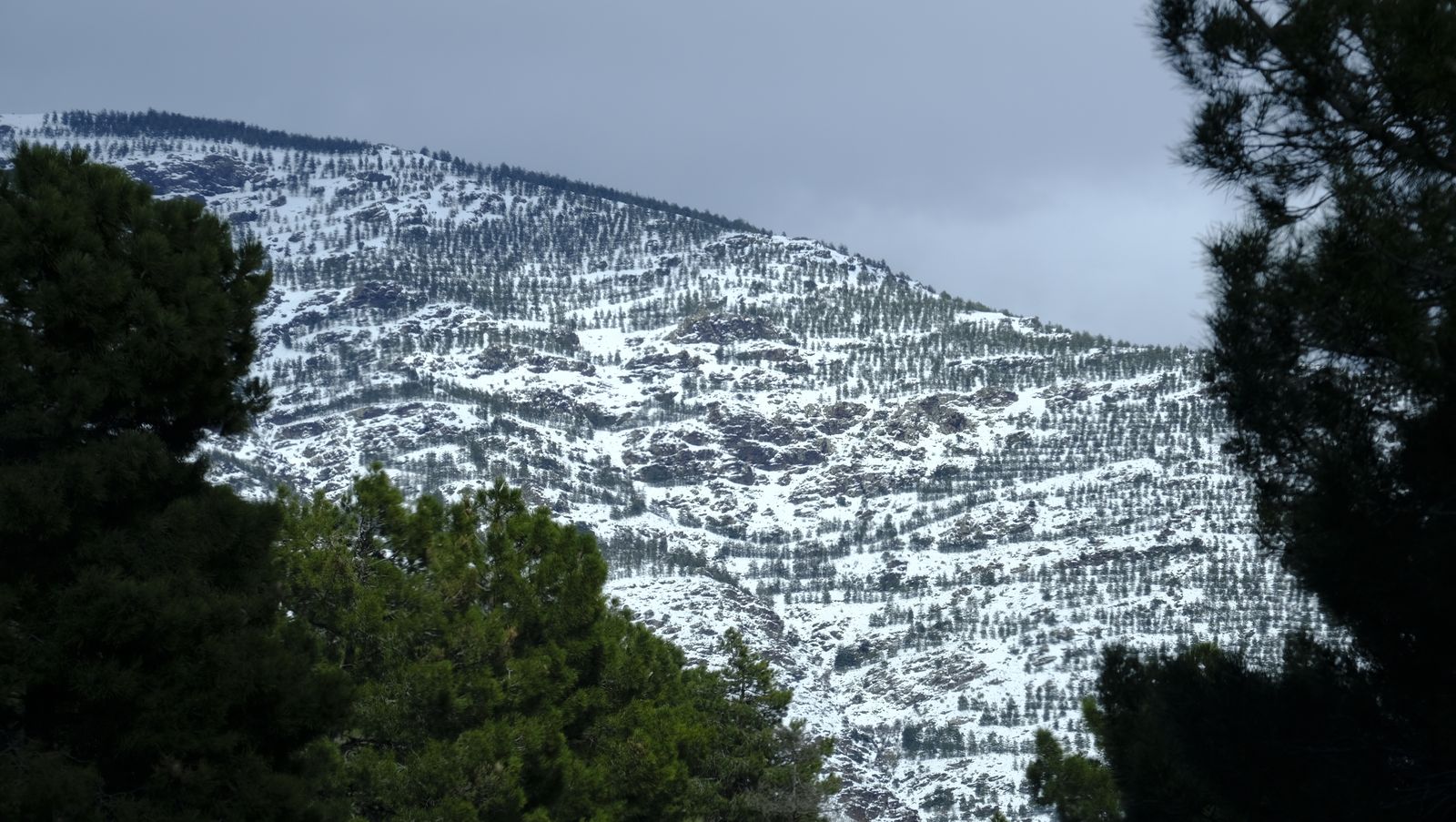 Imágenes del temporal de nieve en la provincia de Almería.