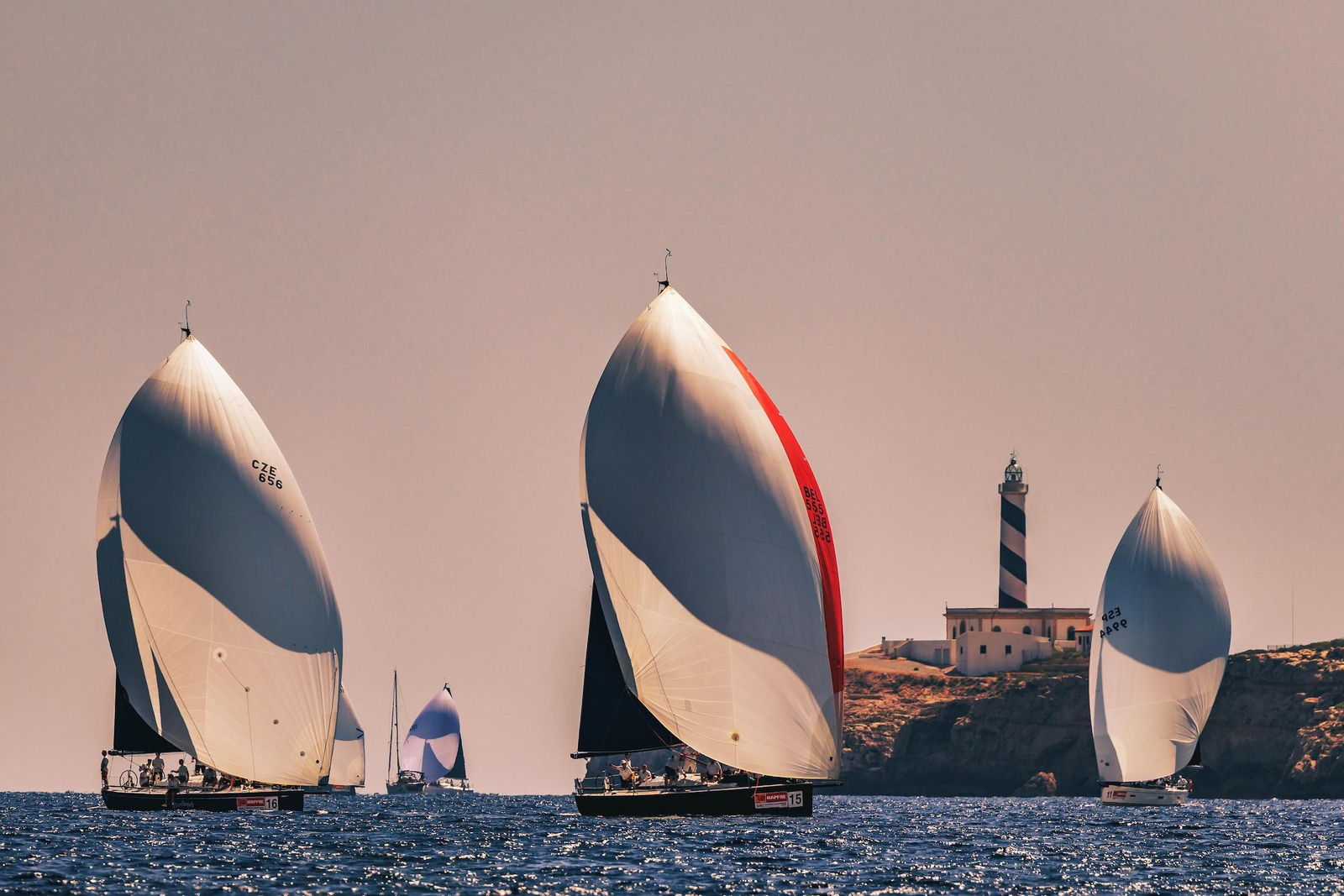 ORCA A Vela Regata (15).jpg