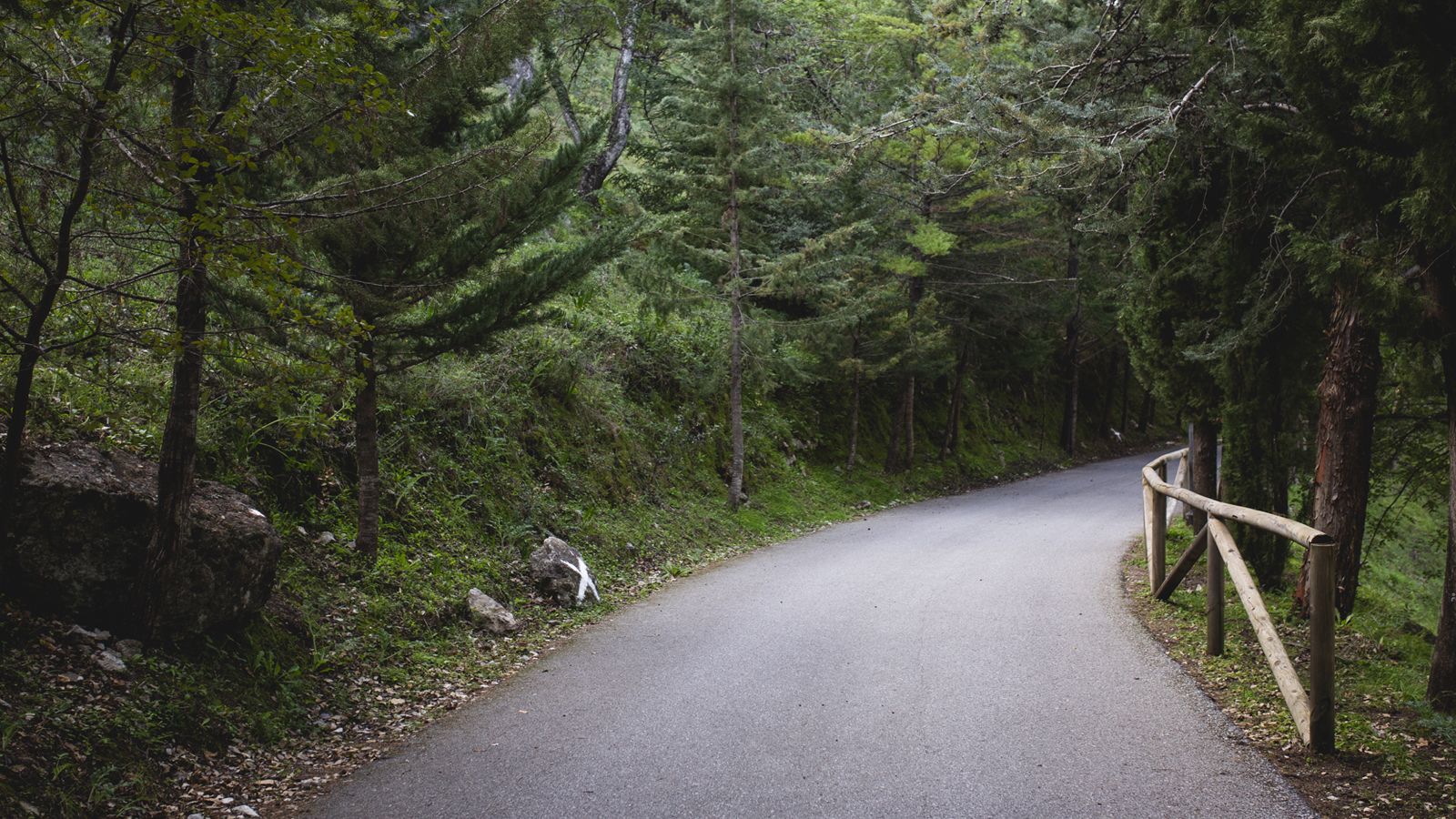Ruta Hoyo del Tarazón