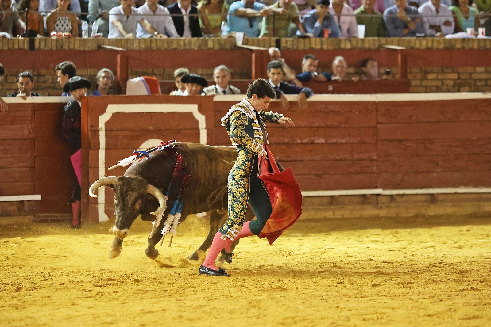 Toros La Merced 2024 Novillada con picadores(