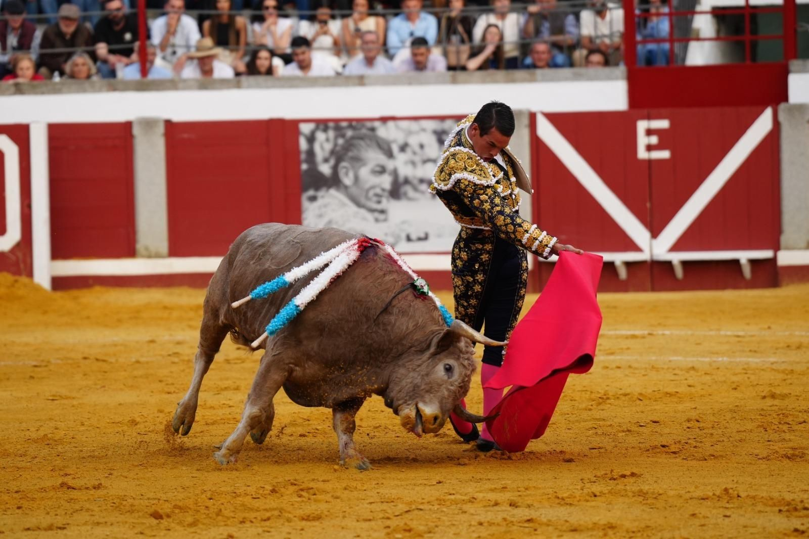 La corrida triunfal de Castella, Manzanares y Roca Rey en Pozoblanco, en imágenes