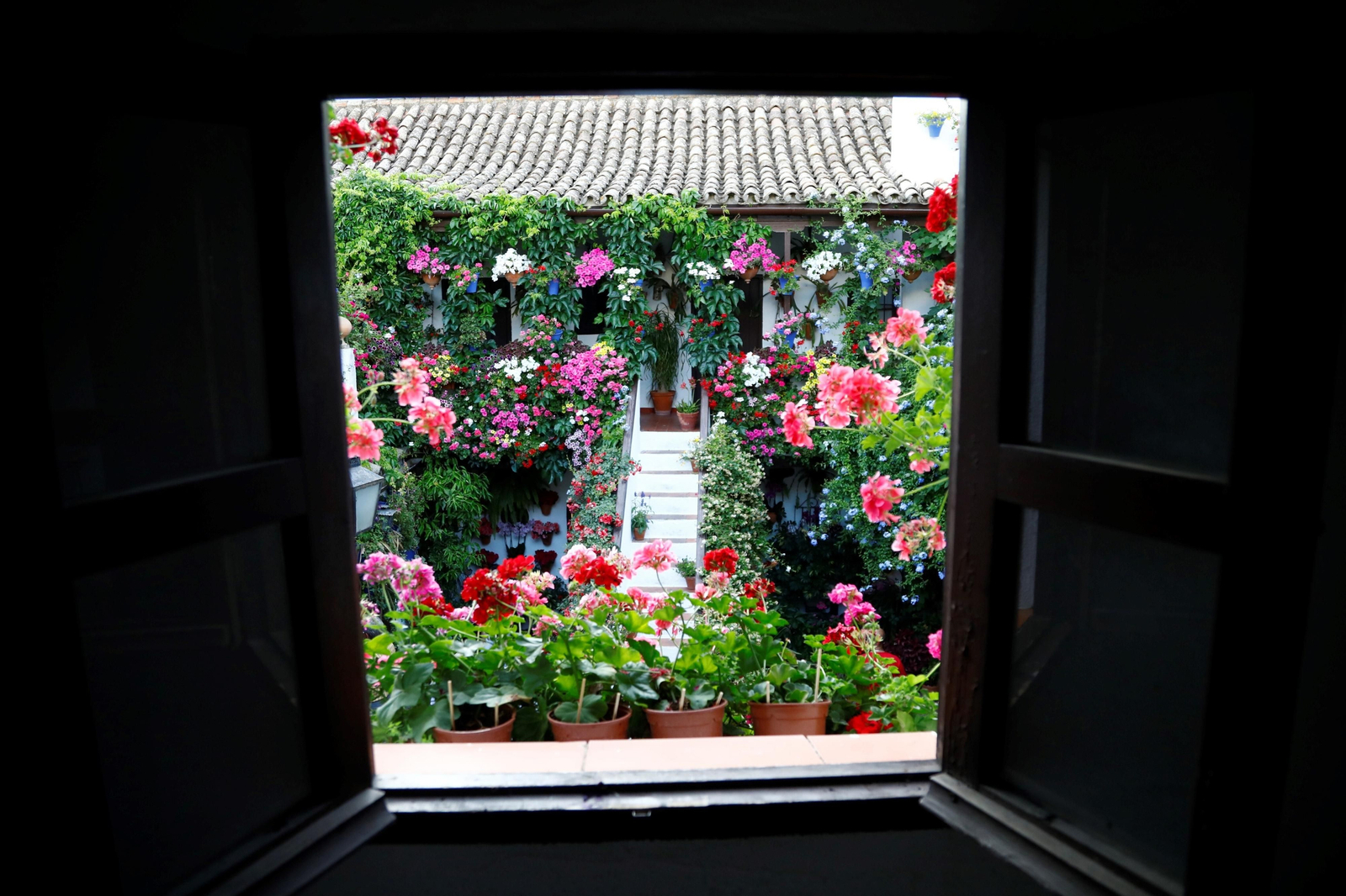 Los ganadores del Concurso de Patios de Córdoba 2023, en imágenes